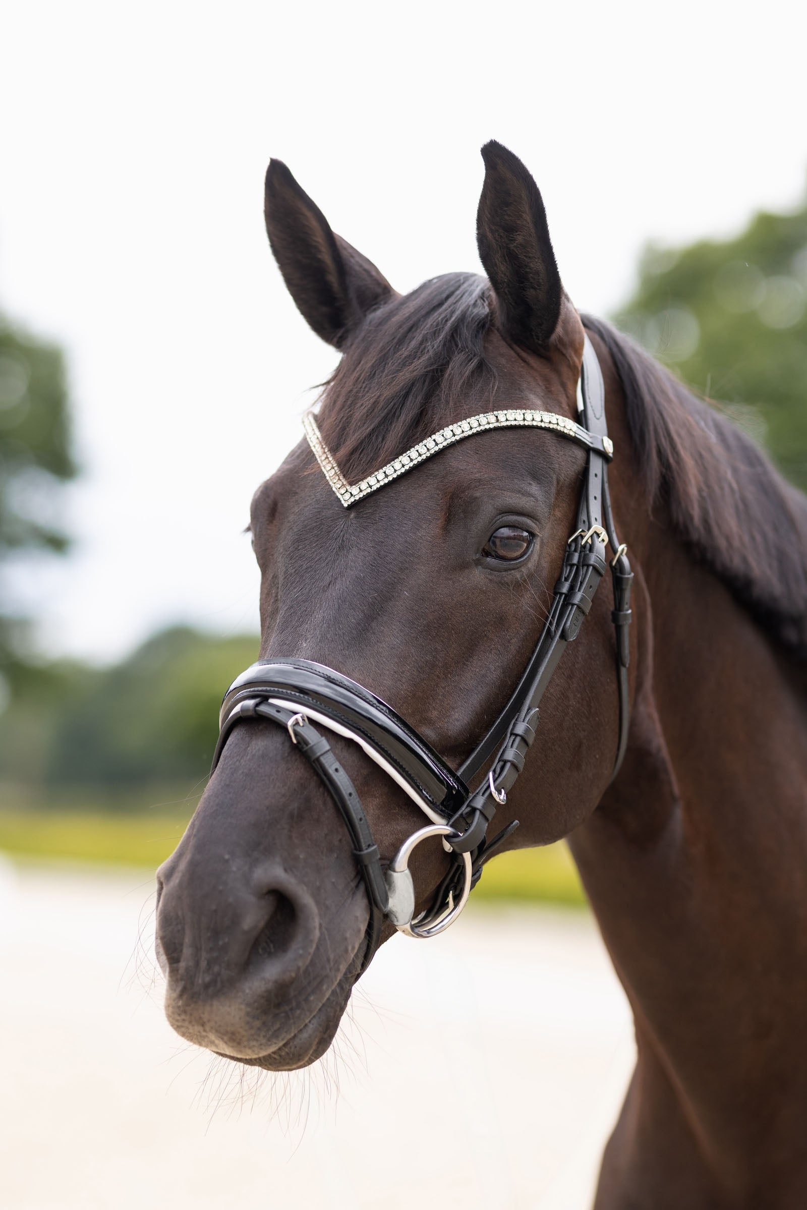 Horze Grayson Anatomic Snaffle Bridle Bridles & Reins