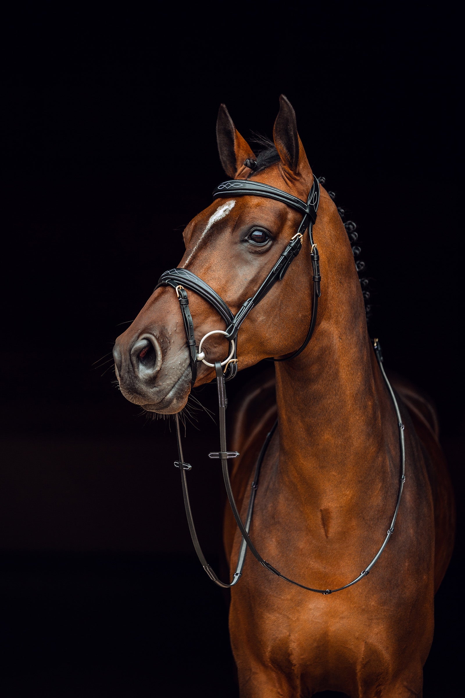Horze Sion Bridle with Reins Bridles & Reins