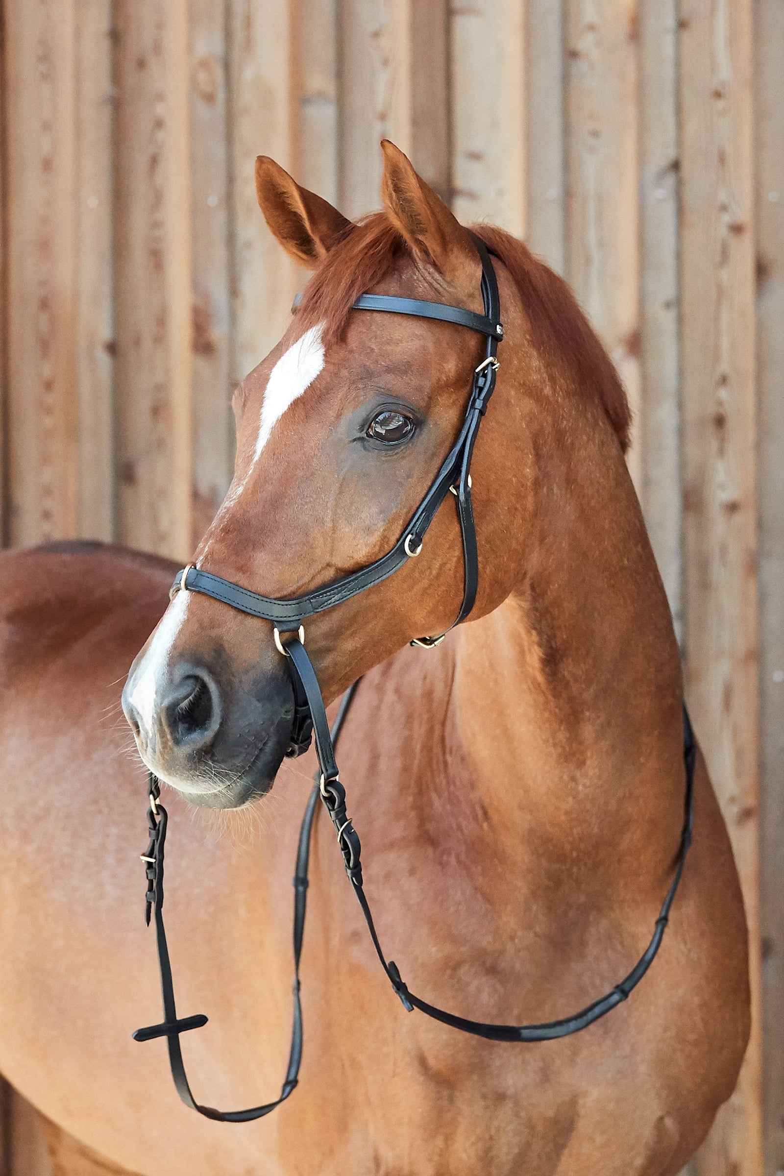 Horze Orlando Combined Anatomical Bitless Bridle Bridles & Reins