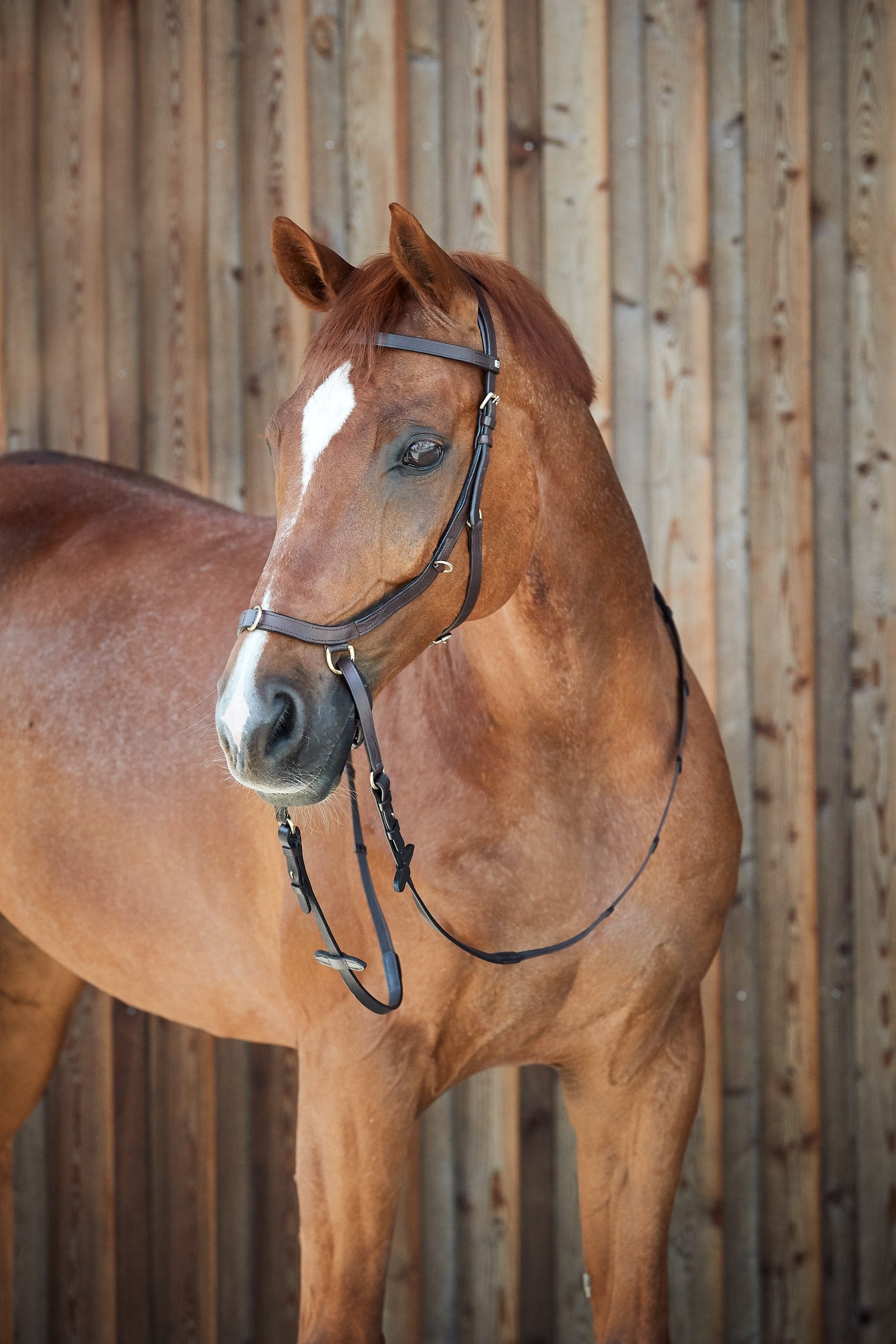 Horze Orlando Combined Anatomical Bitless Bridle Bridles & Reins