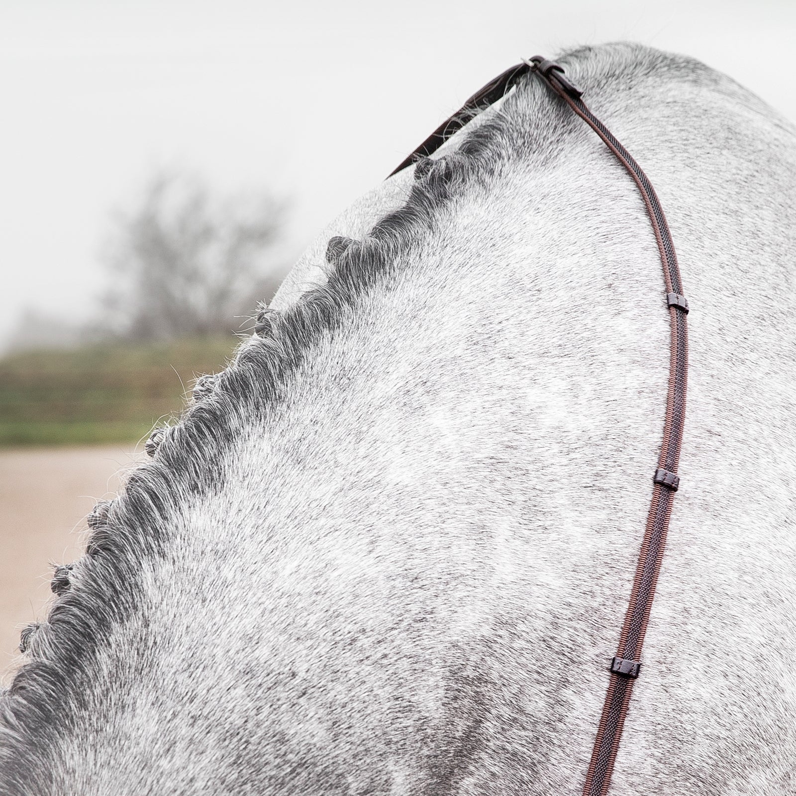 Horze Slender Intertwined Reins Bridles & Reins
