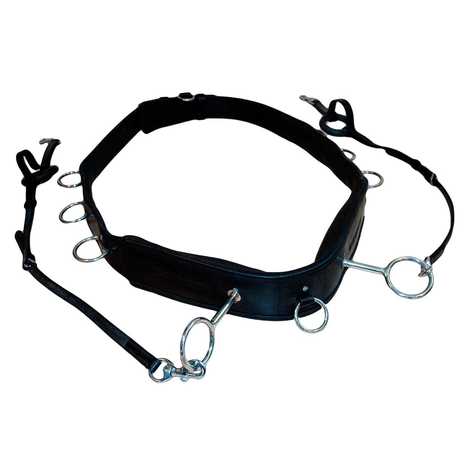 Karlslund longeringsgjord Träning & longering