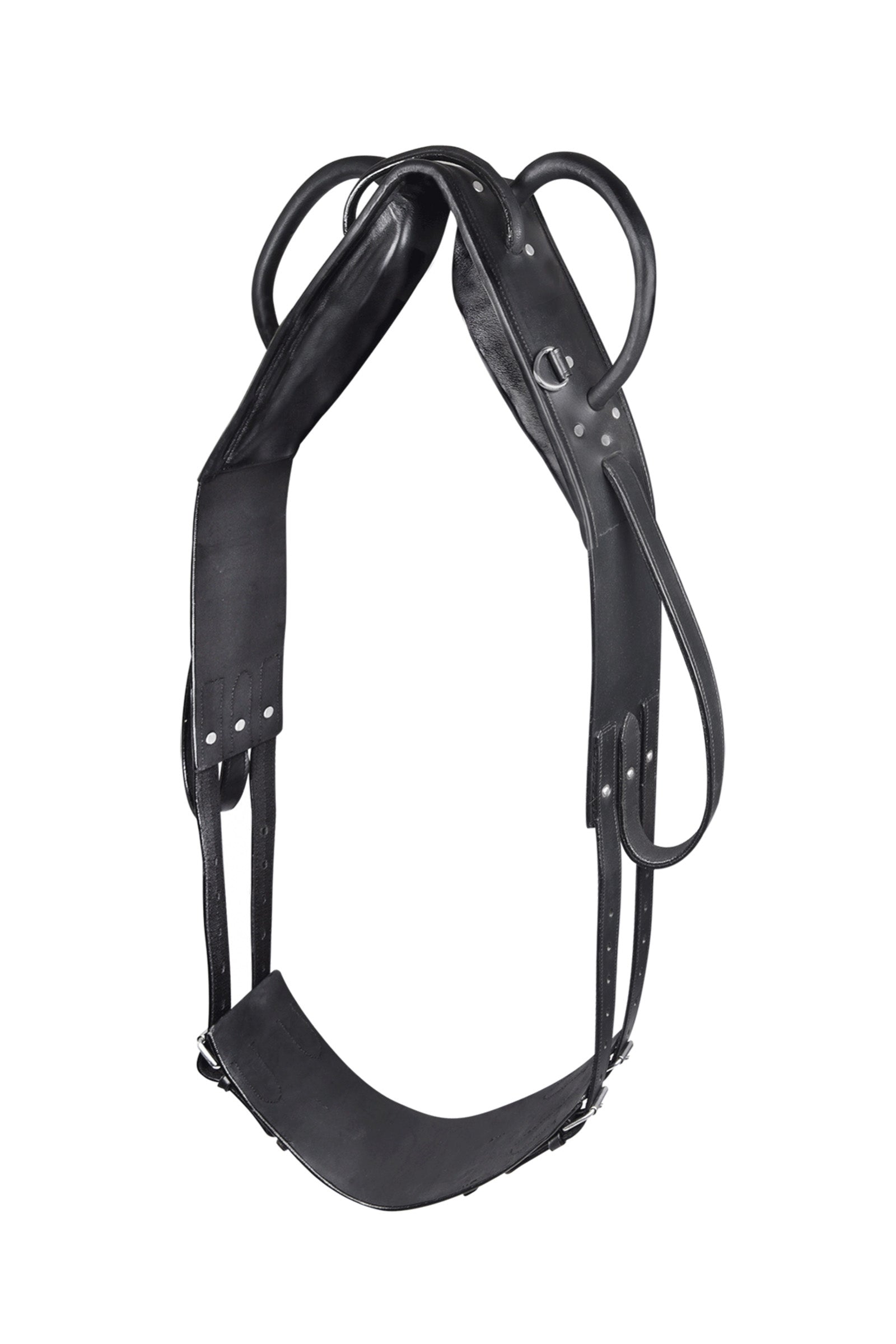 Waldhausen Vaulting & Lunging Surcingle Träning & longering