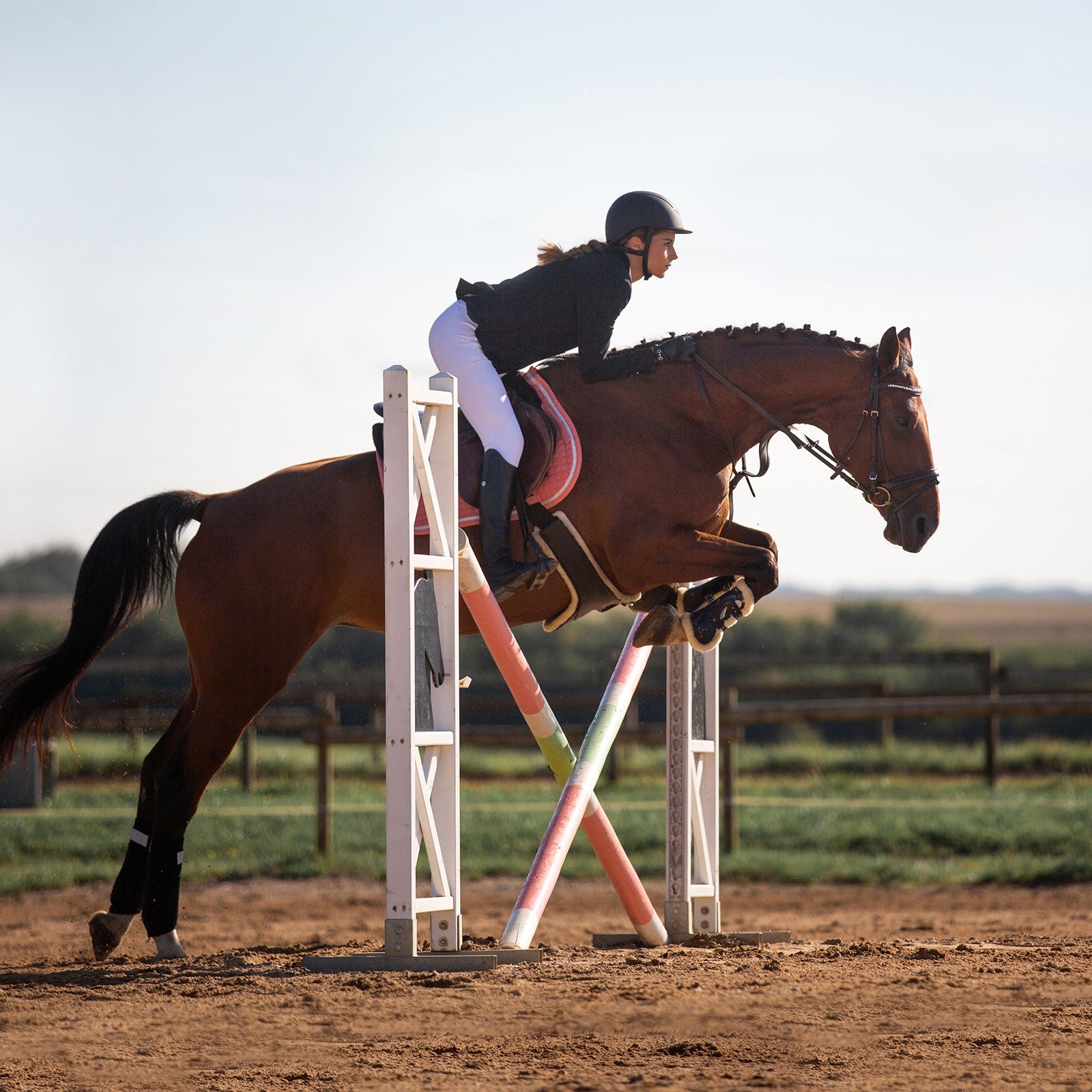 Horze Atlanta Stud Guard Girth with pile lining Saddles, Girths & Stirrups