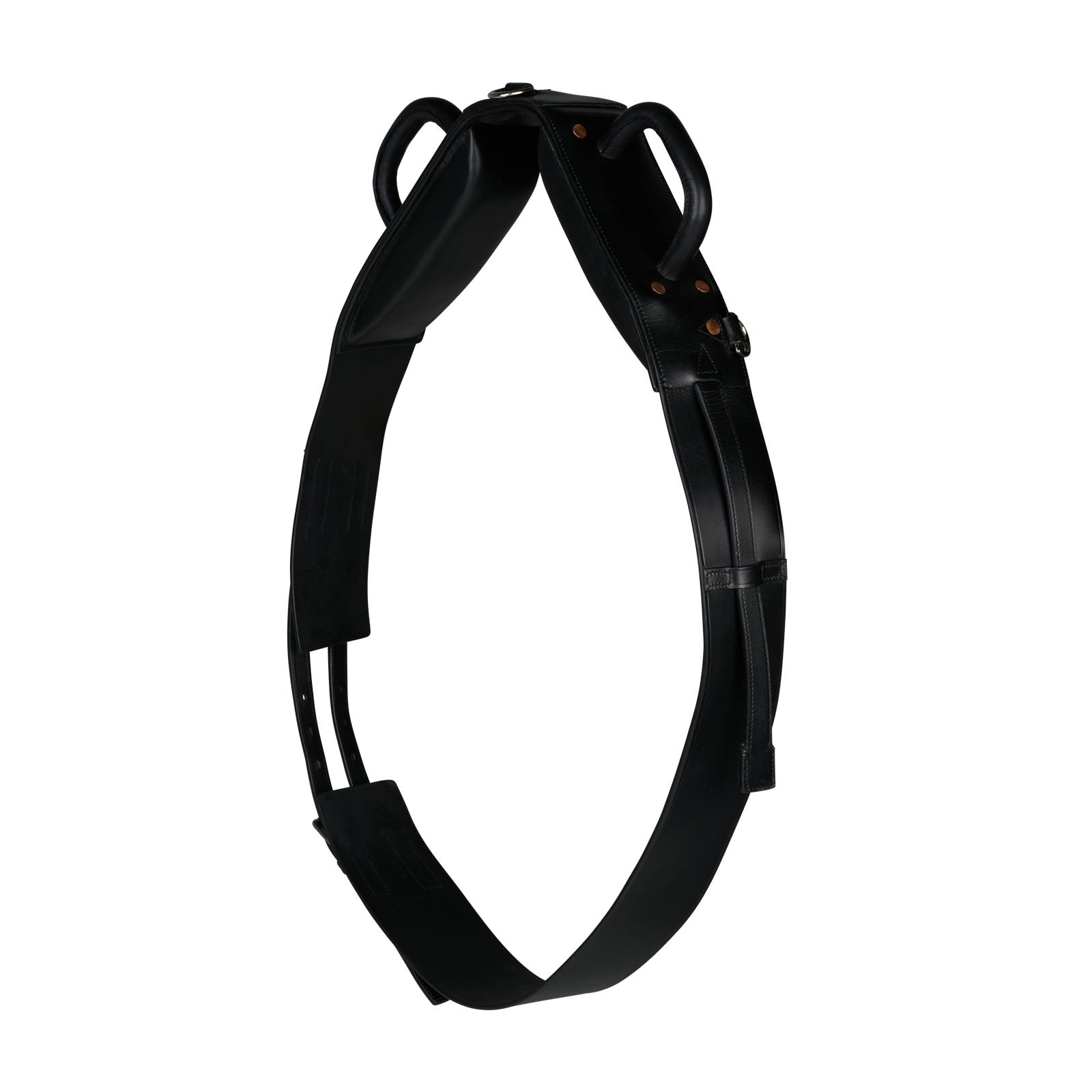 Horze Voltige gjord Träning & longering