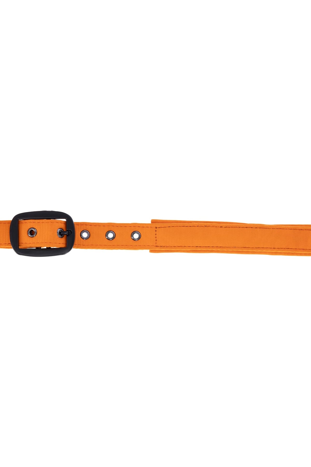 Covalliero FW26 Halter Halters & Leads