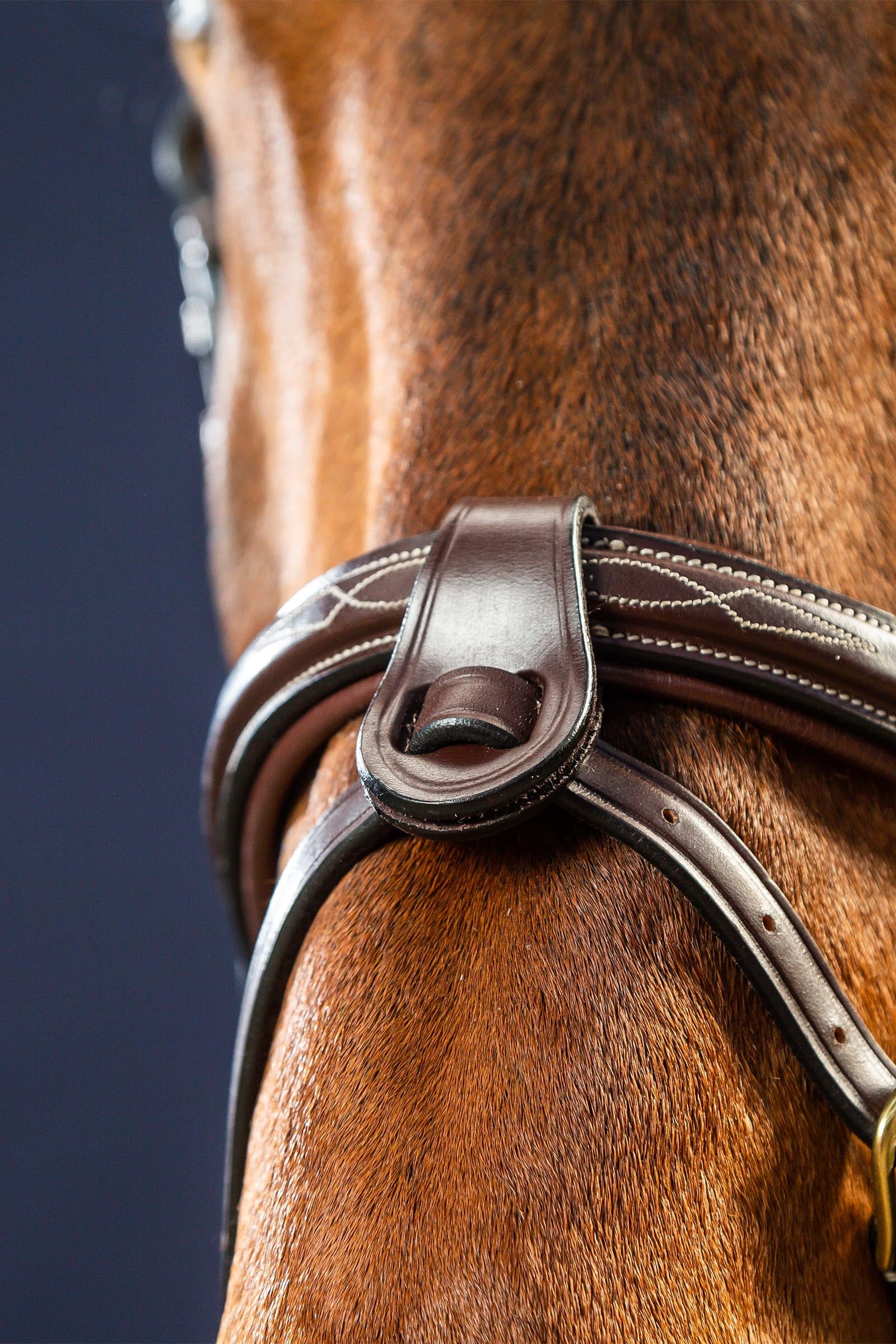 Dy'on D Collection Flash Nose Strap 1/2 With 2 Loops Bridles & Reins