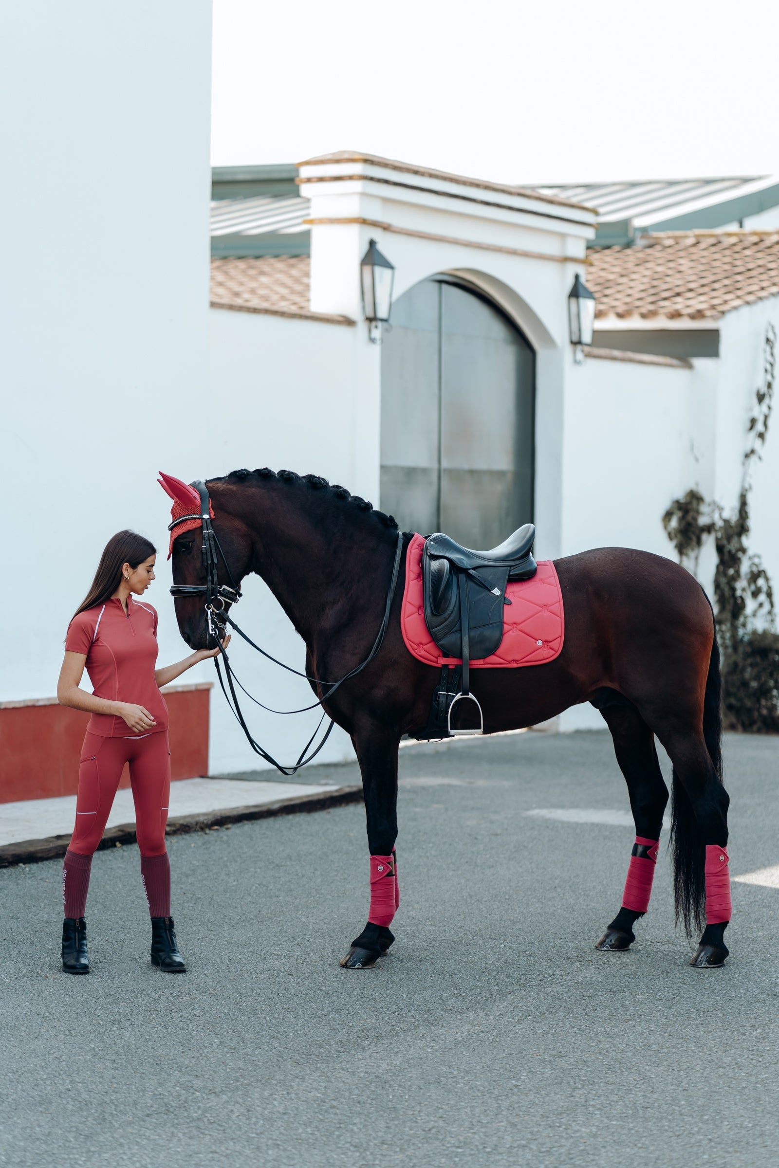 B Vertigo Laurel Dressage Saddle Pad Saddle Pads