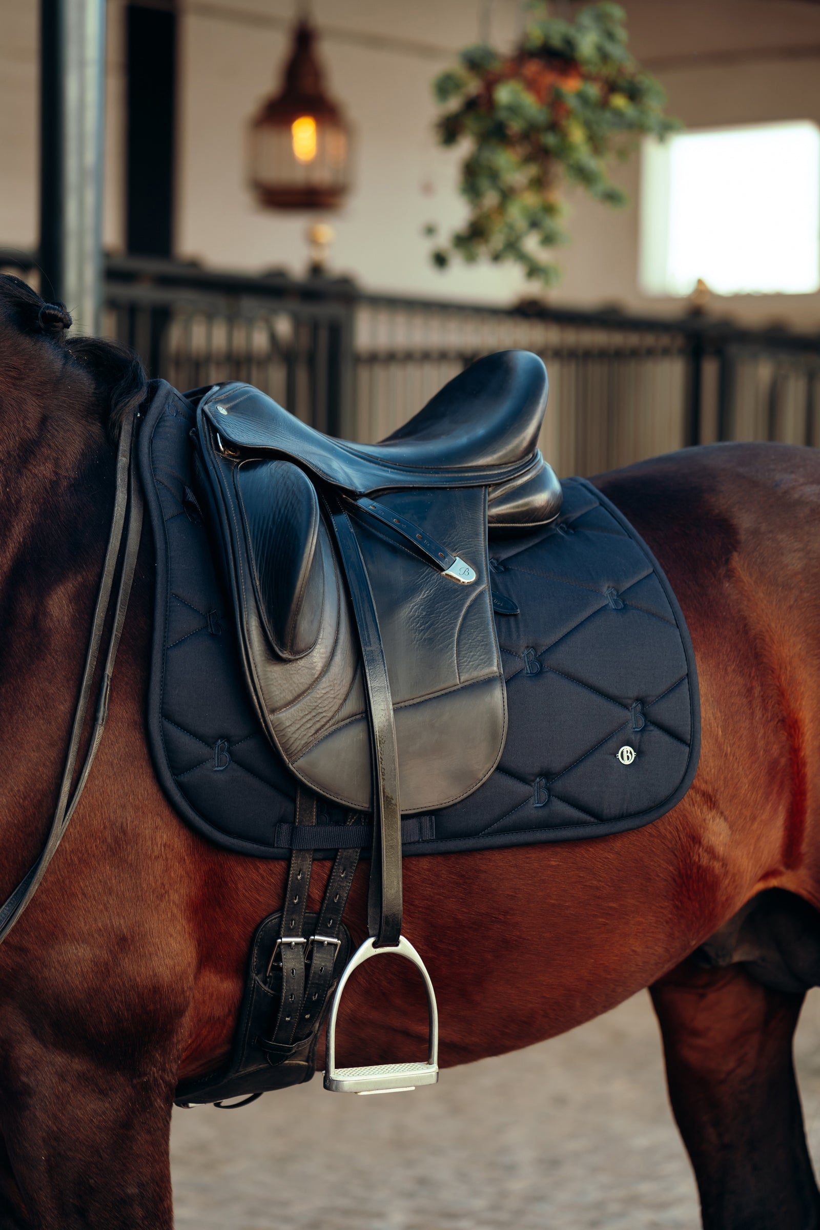 B Vertigo Laurel Dressage Saddle Pad Saddle Pads