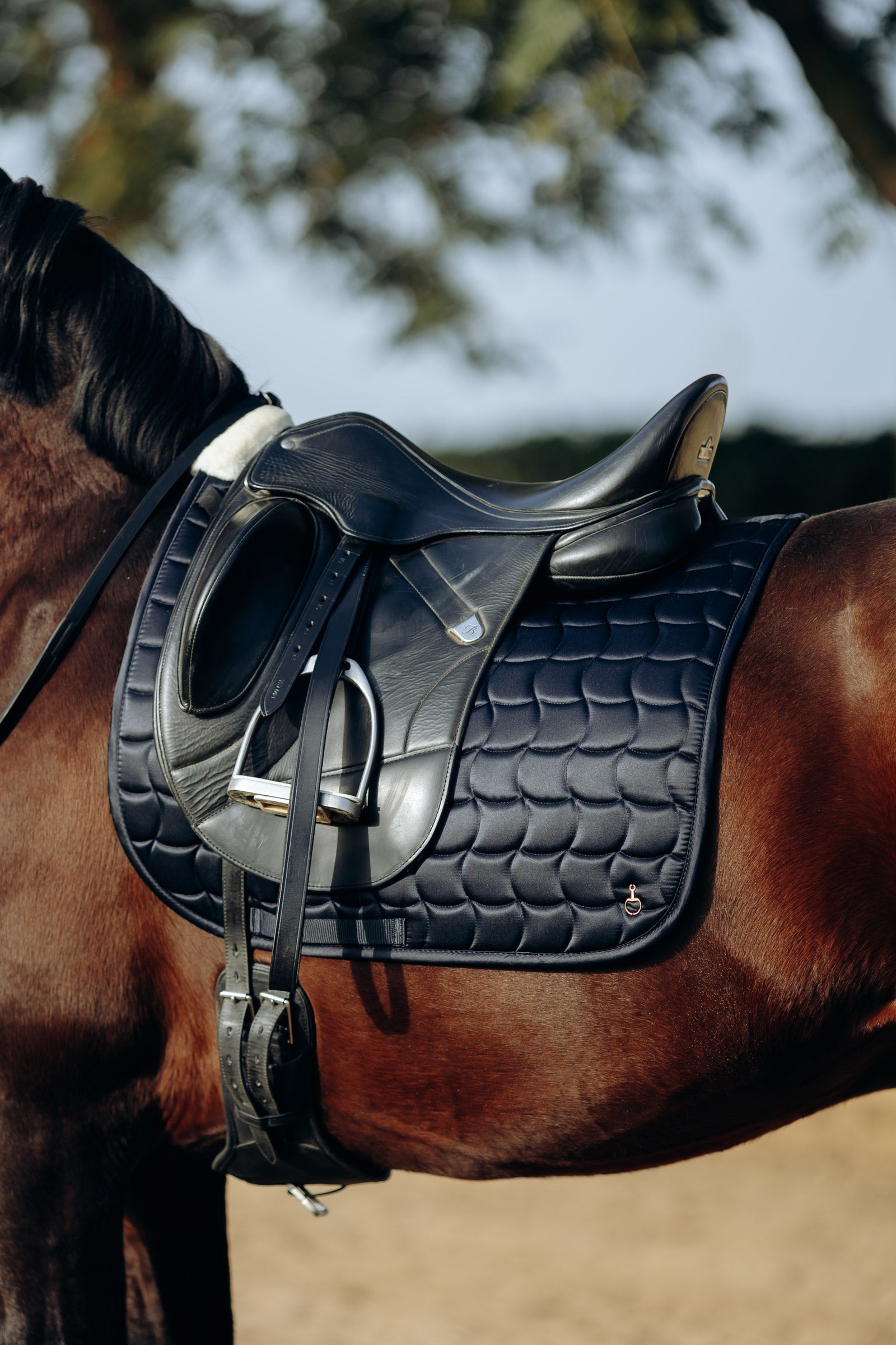 Horze Houston Dressage Saddle Pad Saddle Pads