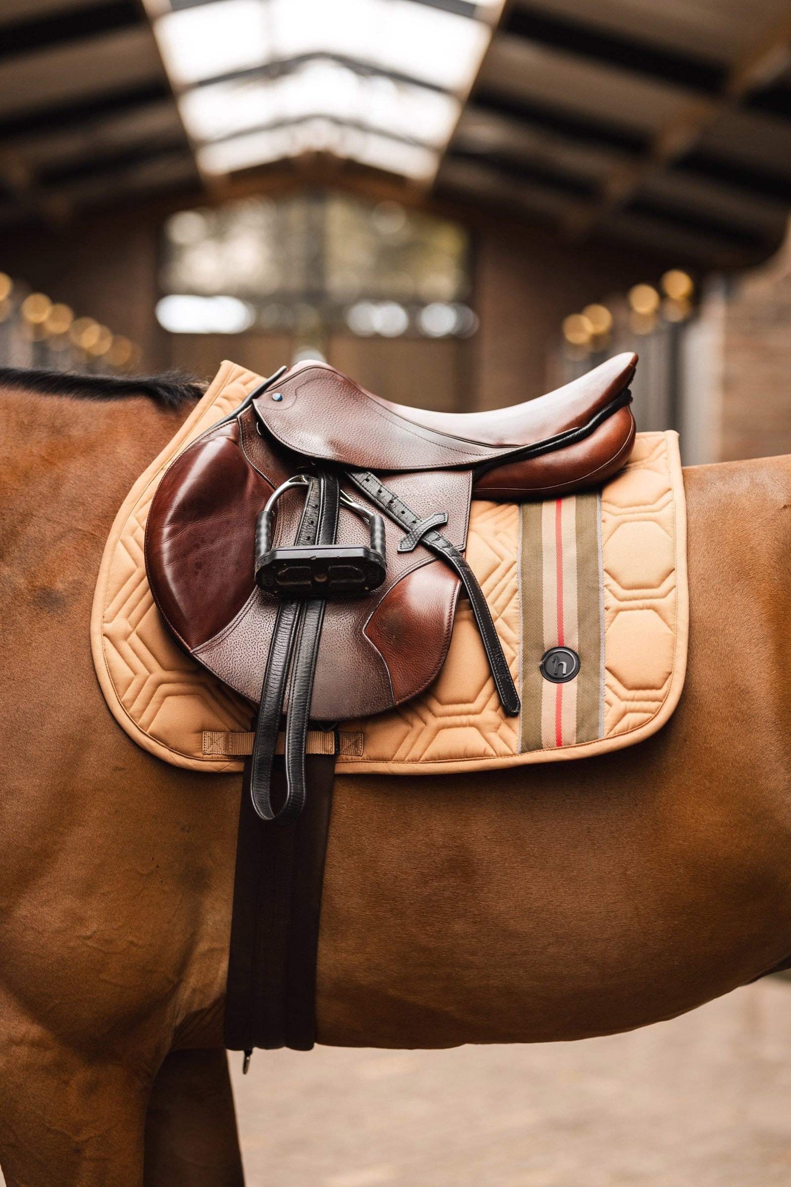 Horze High Life Jumping Pad Saddle Pads