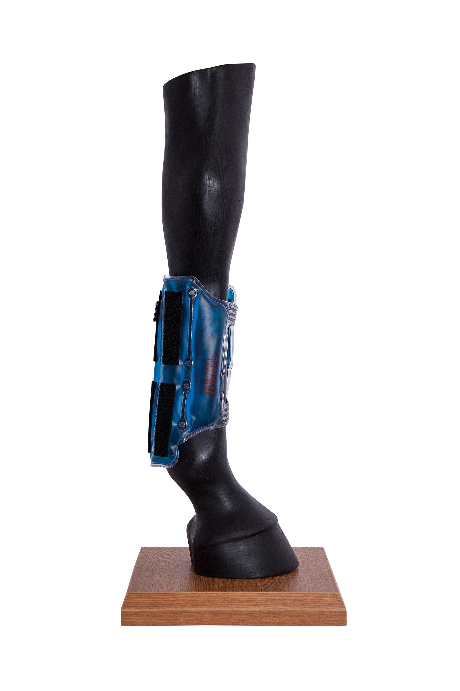 Stassek Equitherm Linda med kardborrband Leg Protection & Hoof Protection for Horses