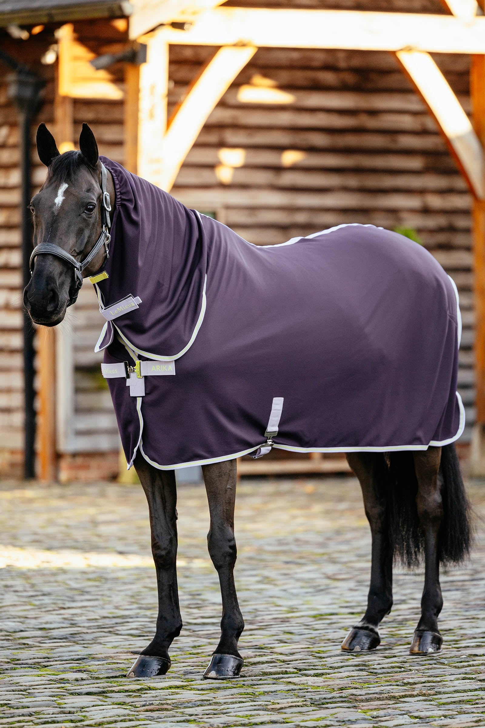 LeMieux Arika DryEase Rug Hästtäcken