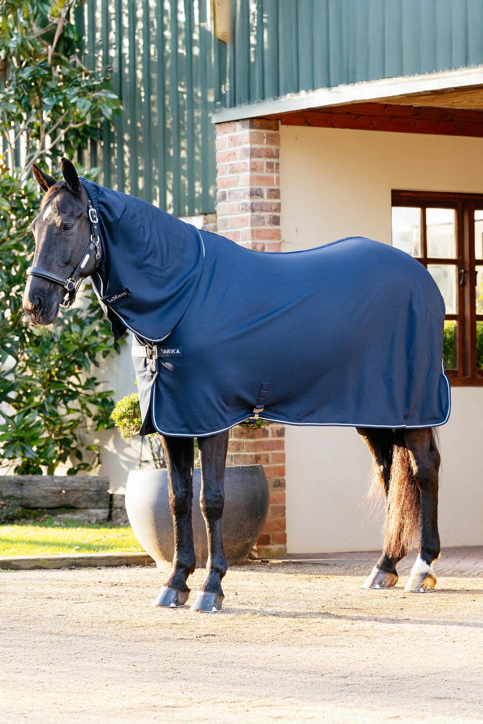LeMieux Arika DryEase Rug Hästtäcken