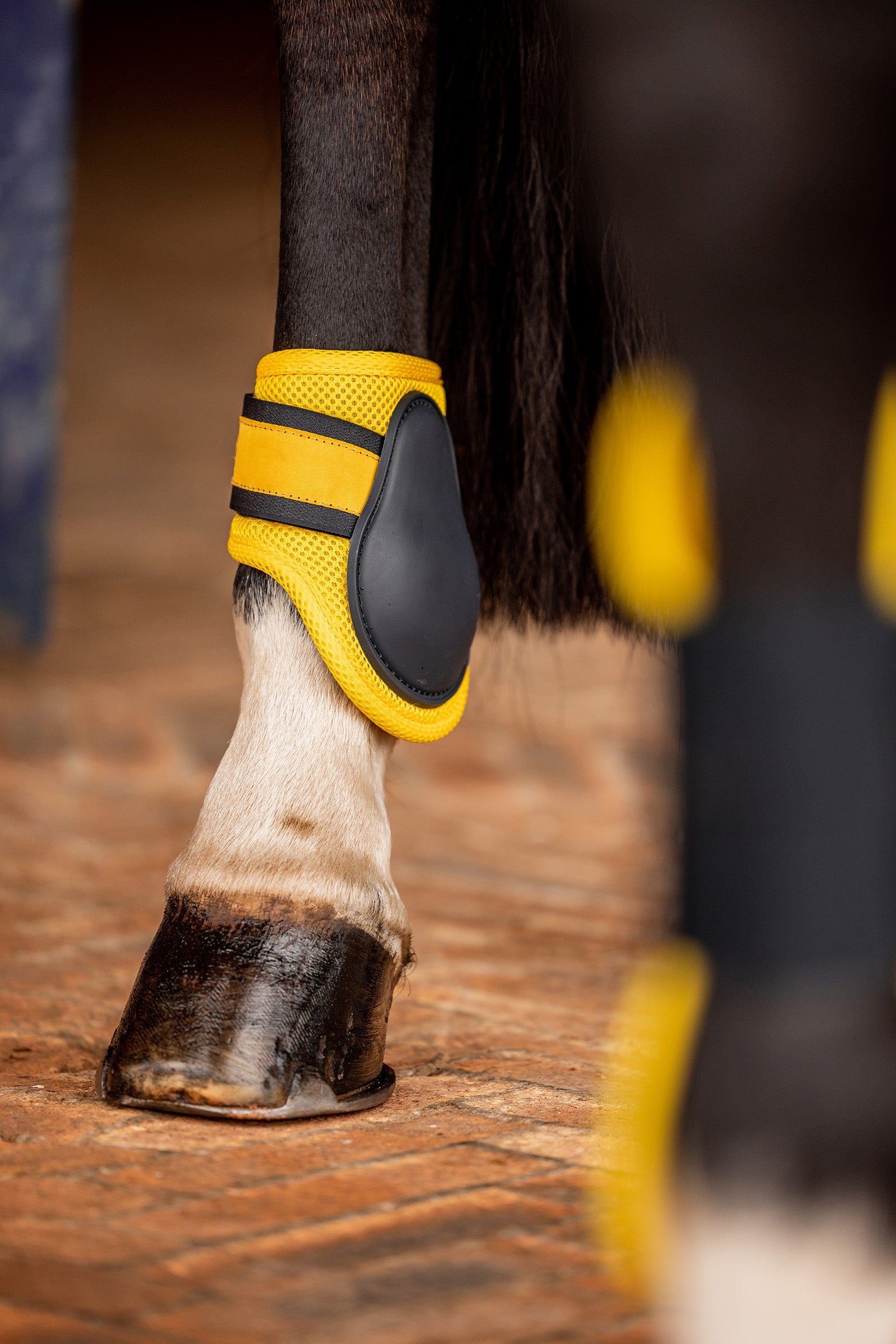 Horze Chicago 2.0 Fetlock Boots Leg Protection & Hoof Protection for Horses