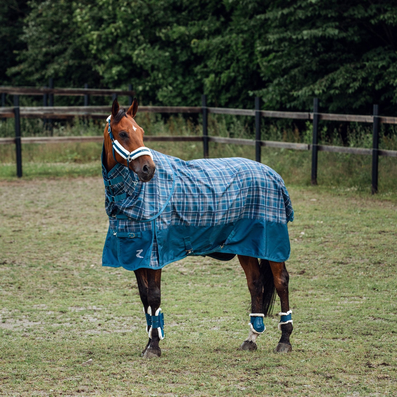 Horze Caliber Fetlock Boots with Faux Fur Lining Leg Protection & Hoof Protection for Horses