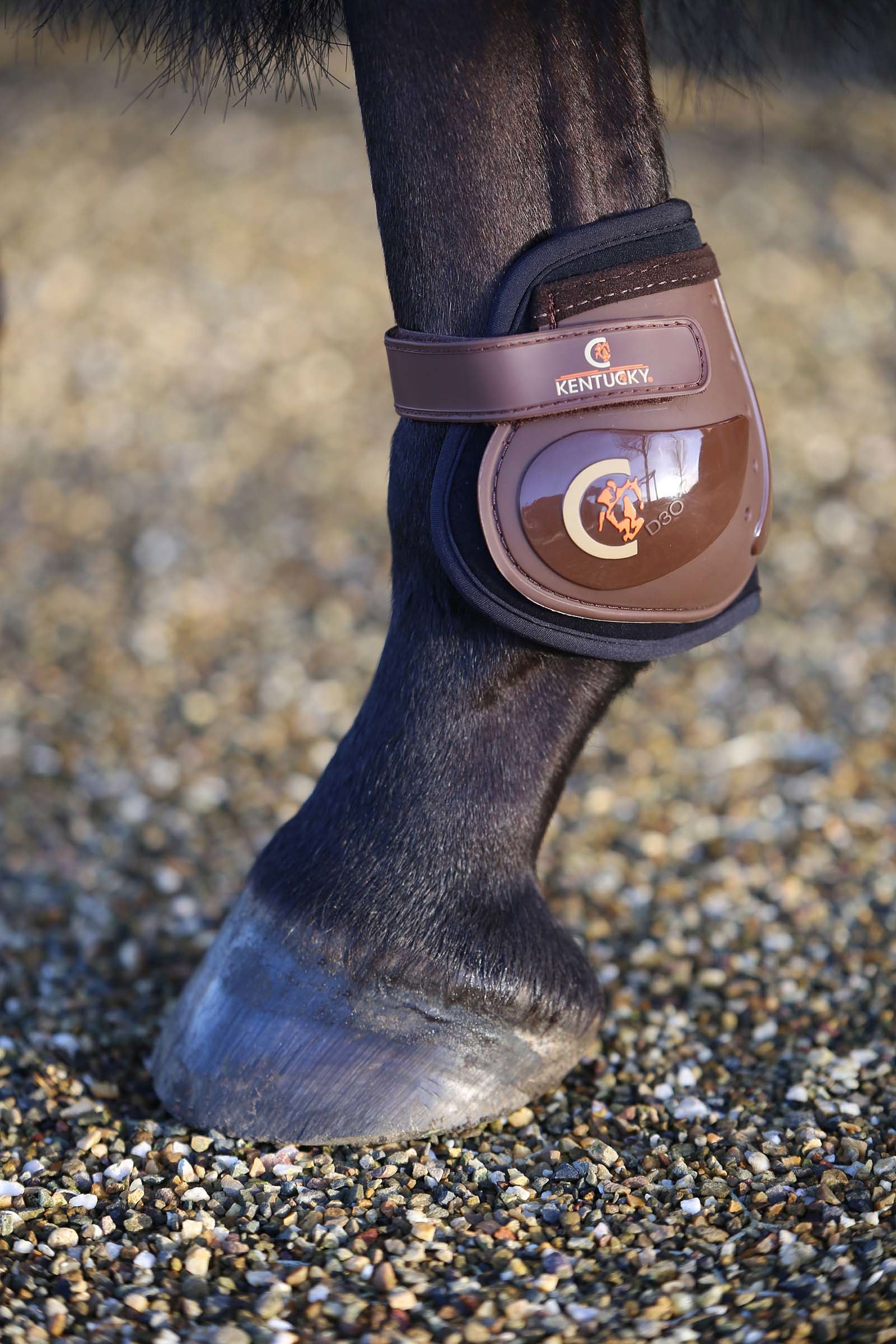 Kentucky Horsewear Moonboots, hind Leg Protection & Hoof Protection for Horses