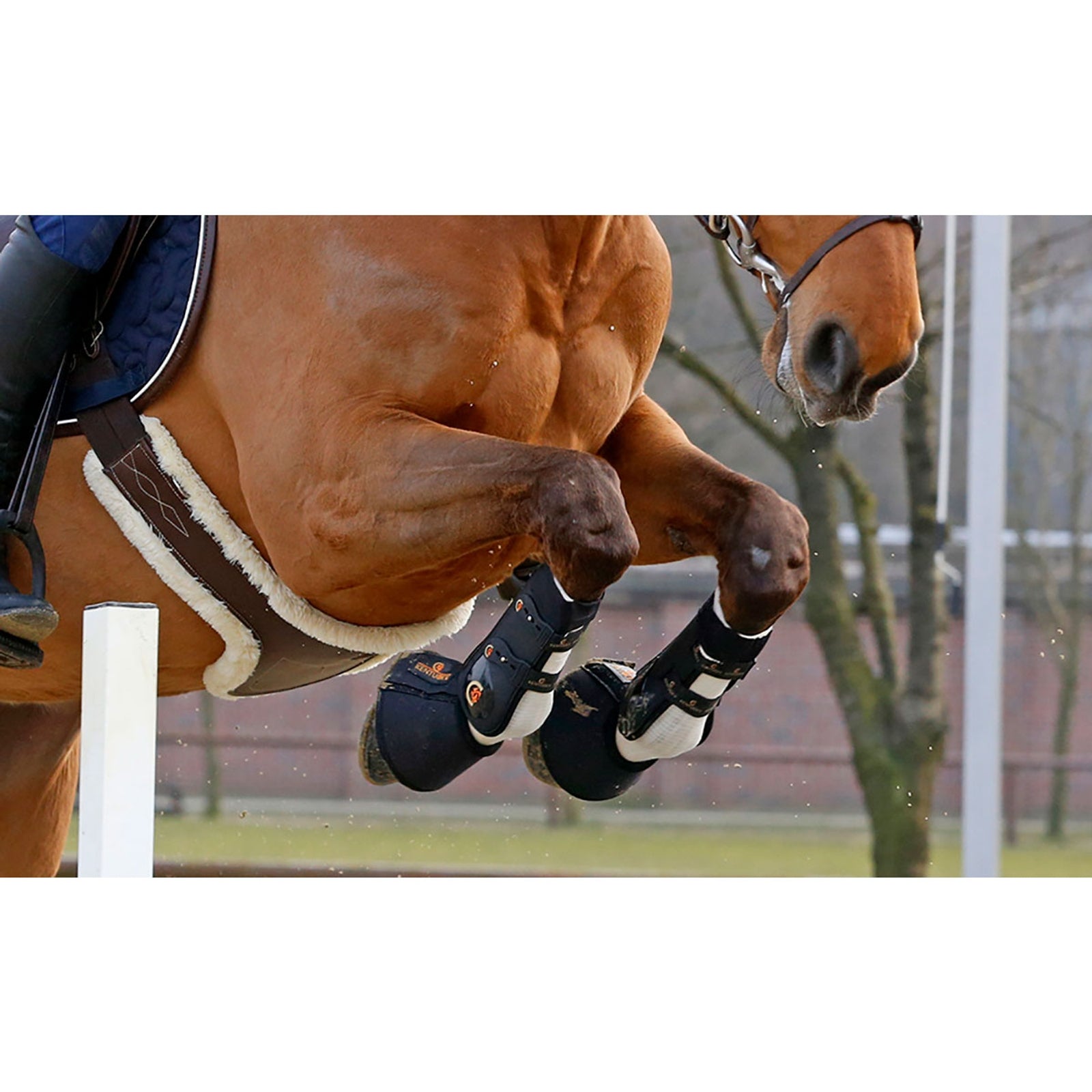 Kentucky Horsewear Tendon Grip Leg Protection & Hoof Protection for Horses