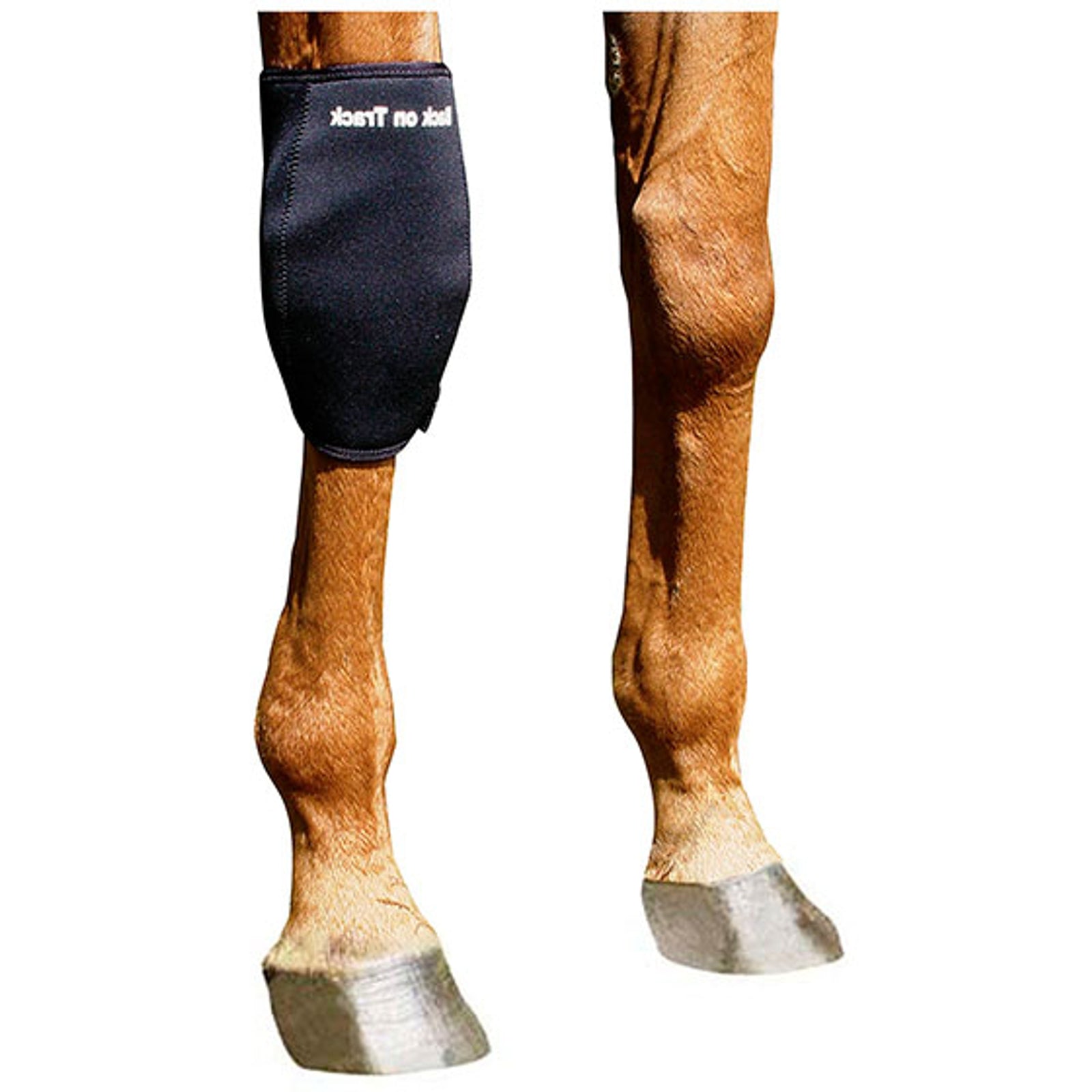 Back on Track Back-On-Track knäskydd, höger Leg Protection & Hoof Protection for Horses