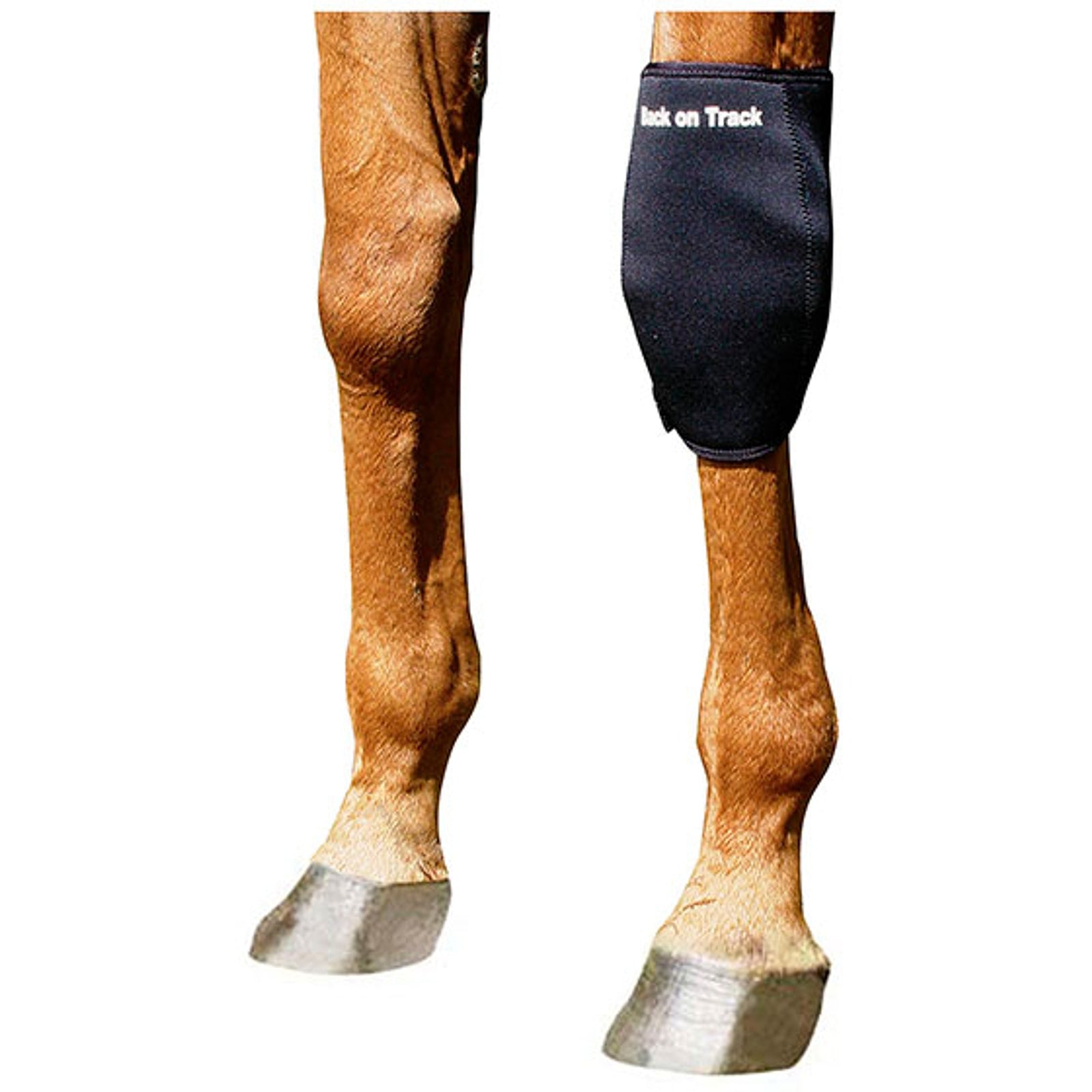 Back on Track Back-On-Track knäskydd, vänster Leg Protection & Hoof Protection for Horses