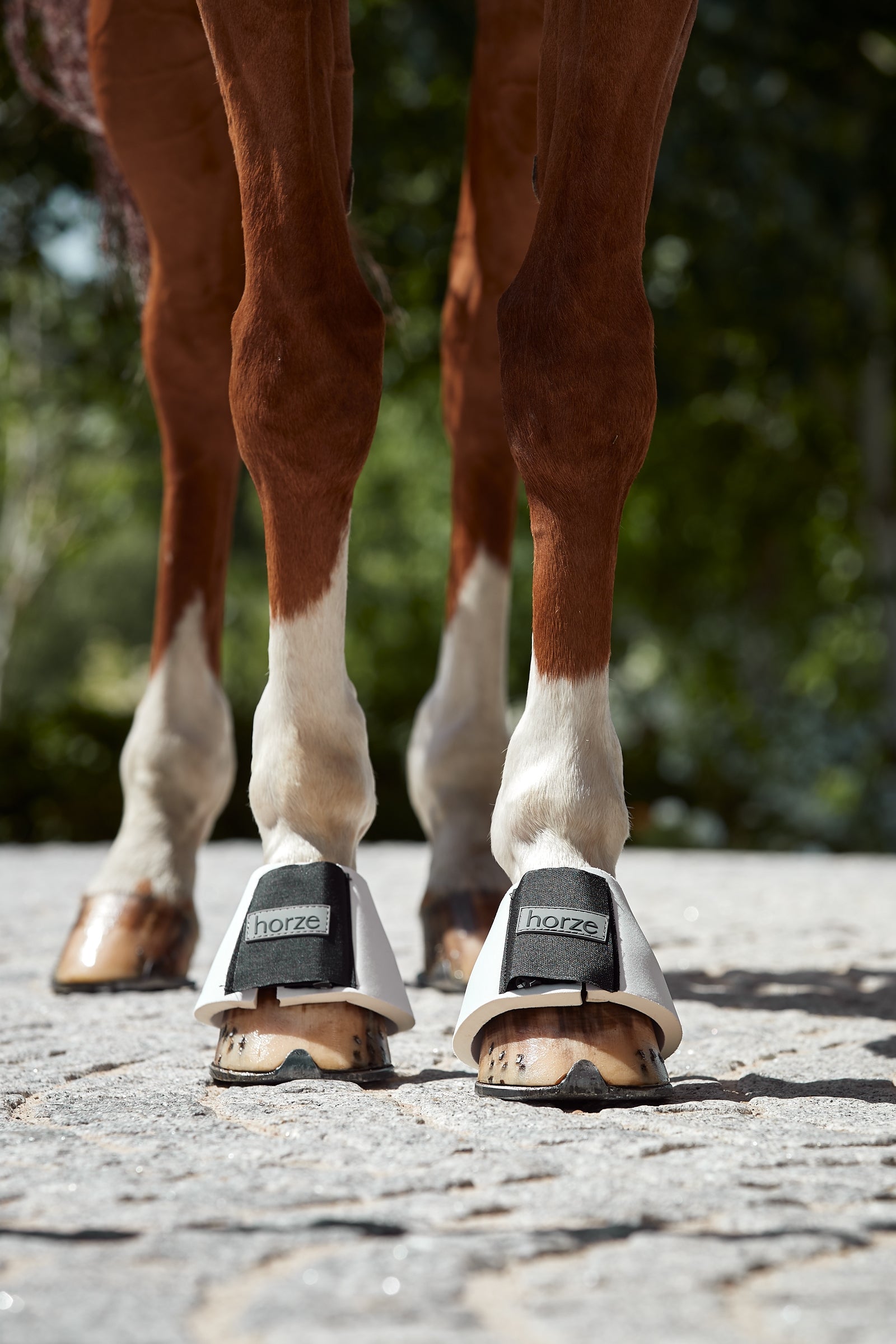 Horze ProBell Boots Leg Protection & Hoof Protection for Horses