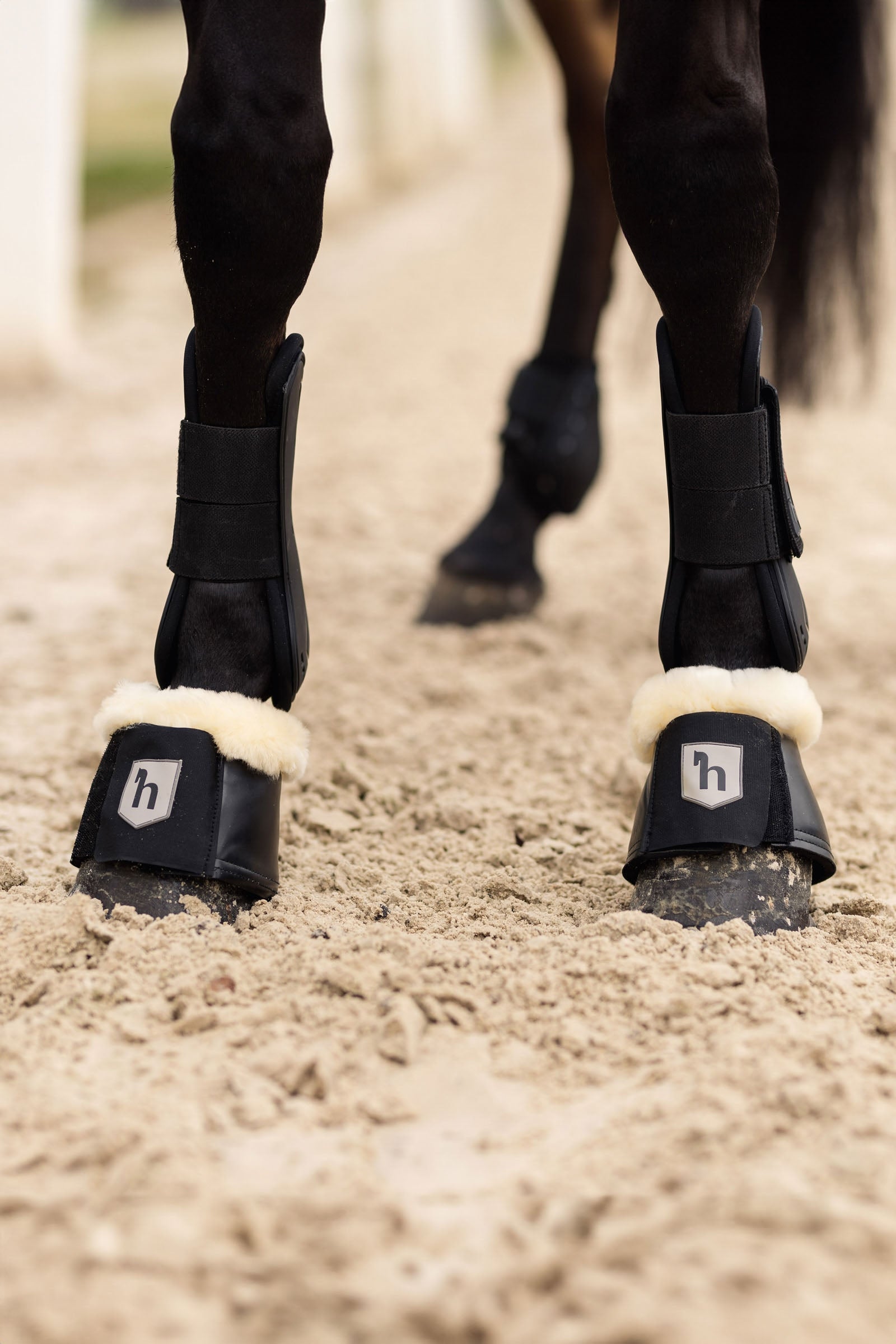 Horze Salerno Bell Boots Leg Protection & Hoof Protection for Horses