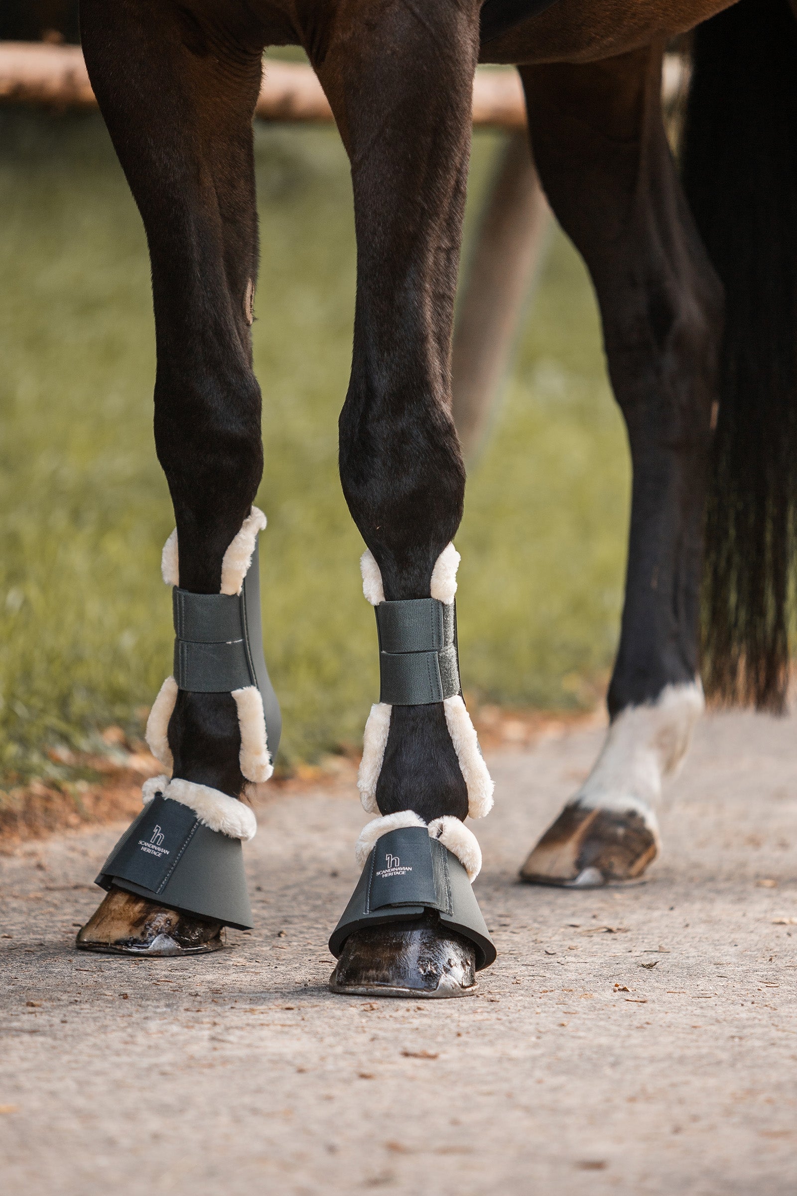 Horze Leighton Teens Collection Bell Boots Leg Protection & Hoof Protection for Horses