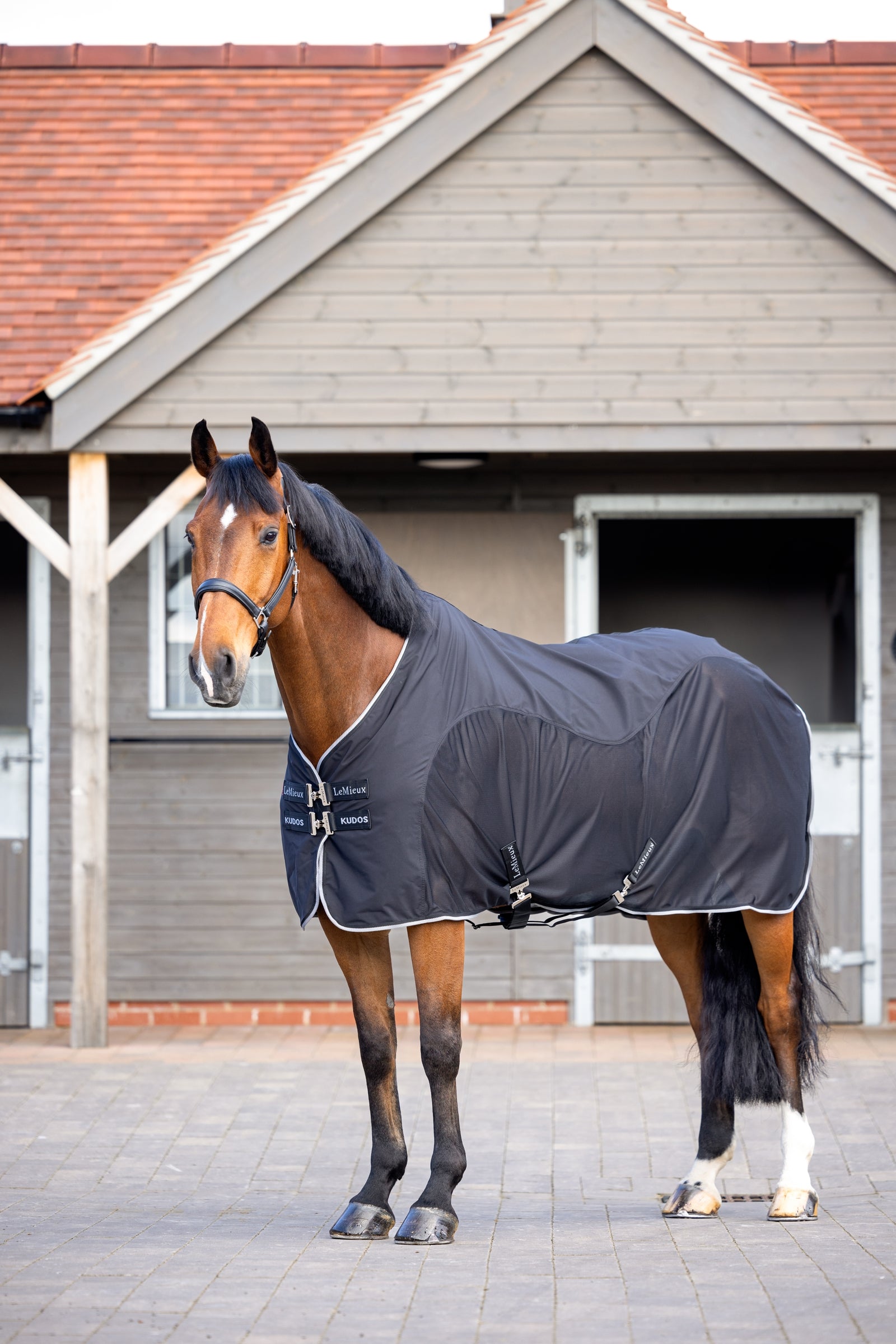 LeMieux Kudos Hybrid Cooler Hästtäcken