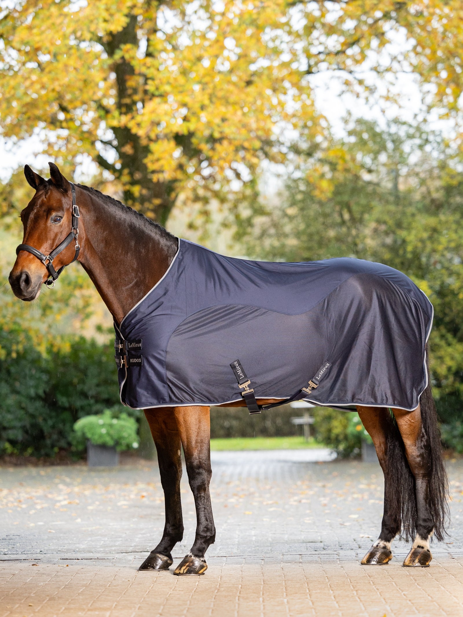 LeMieux Kudos Hybrid Cooler Hästtäcken