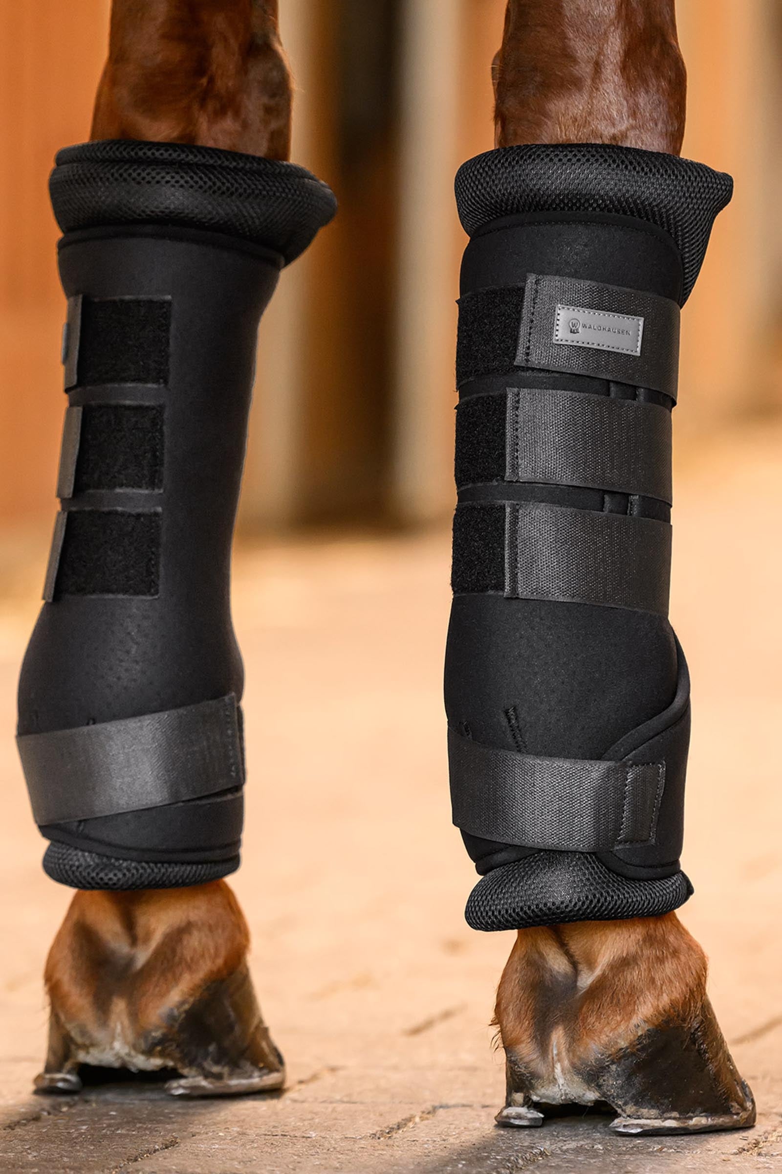 Waldhausen Breath Stable Boots Leg & Hoof Protection