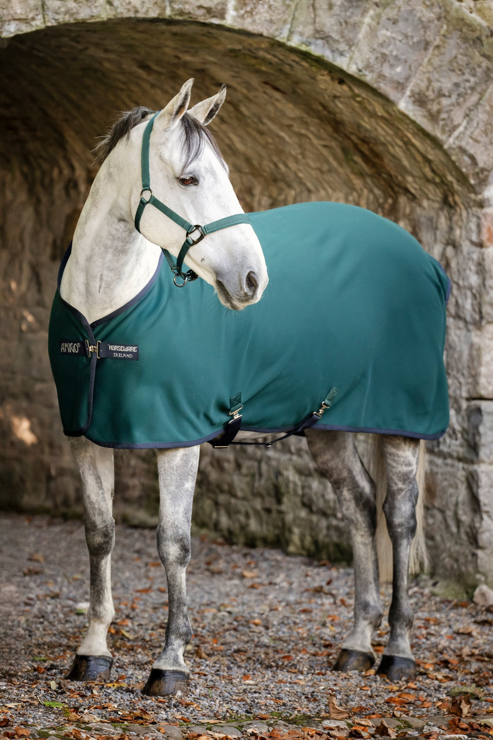 Horseware Amigo jersey svettäcke Hästtäcken