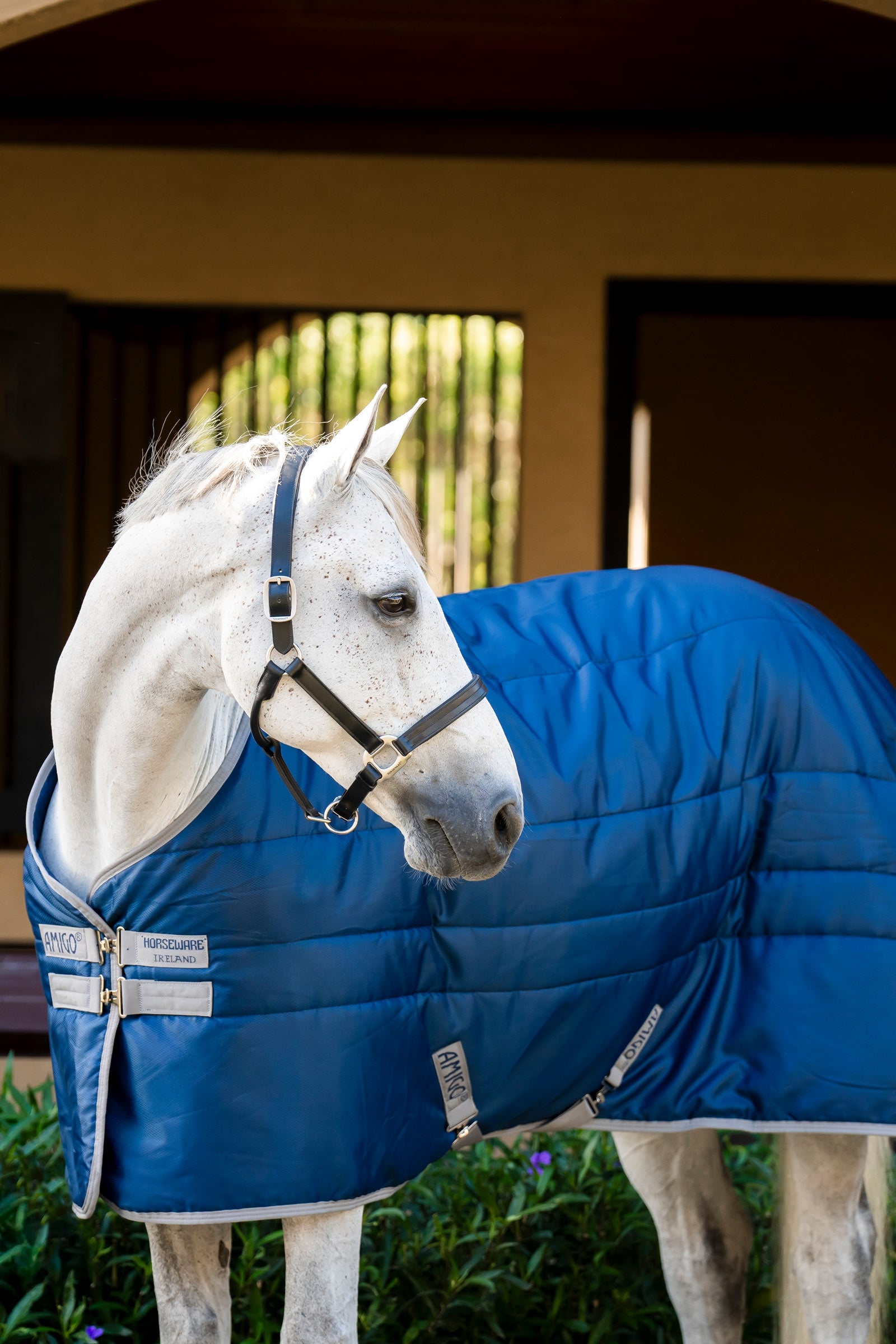 Horseware Amigo Ripstop Insulator Stable Rug, 350 g Horse Rugs