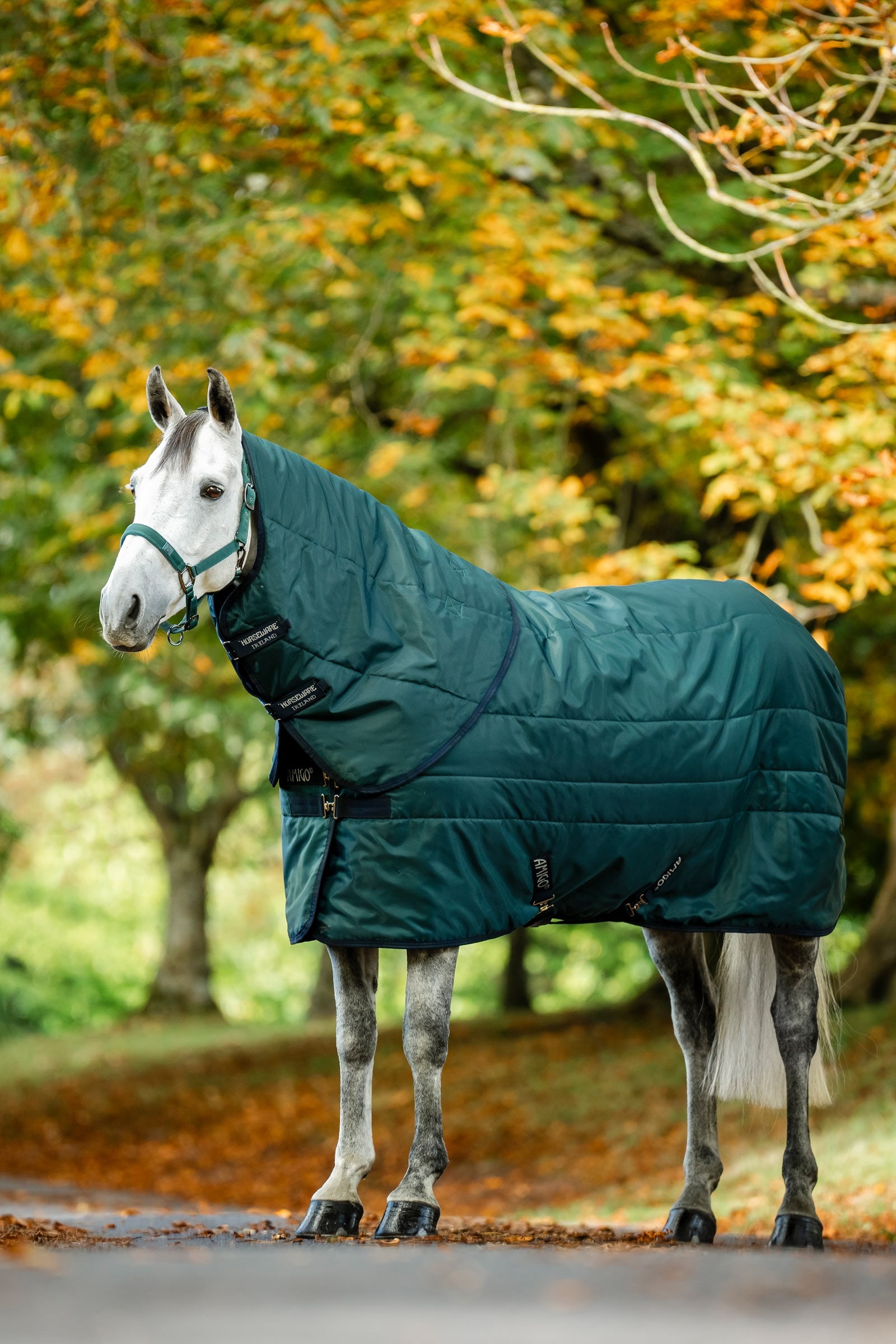 Horseware Amigo Ripstop Insulator Stable Rug, 350 g Horse Rugs
