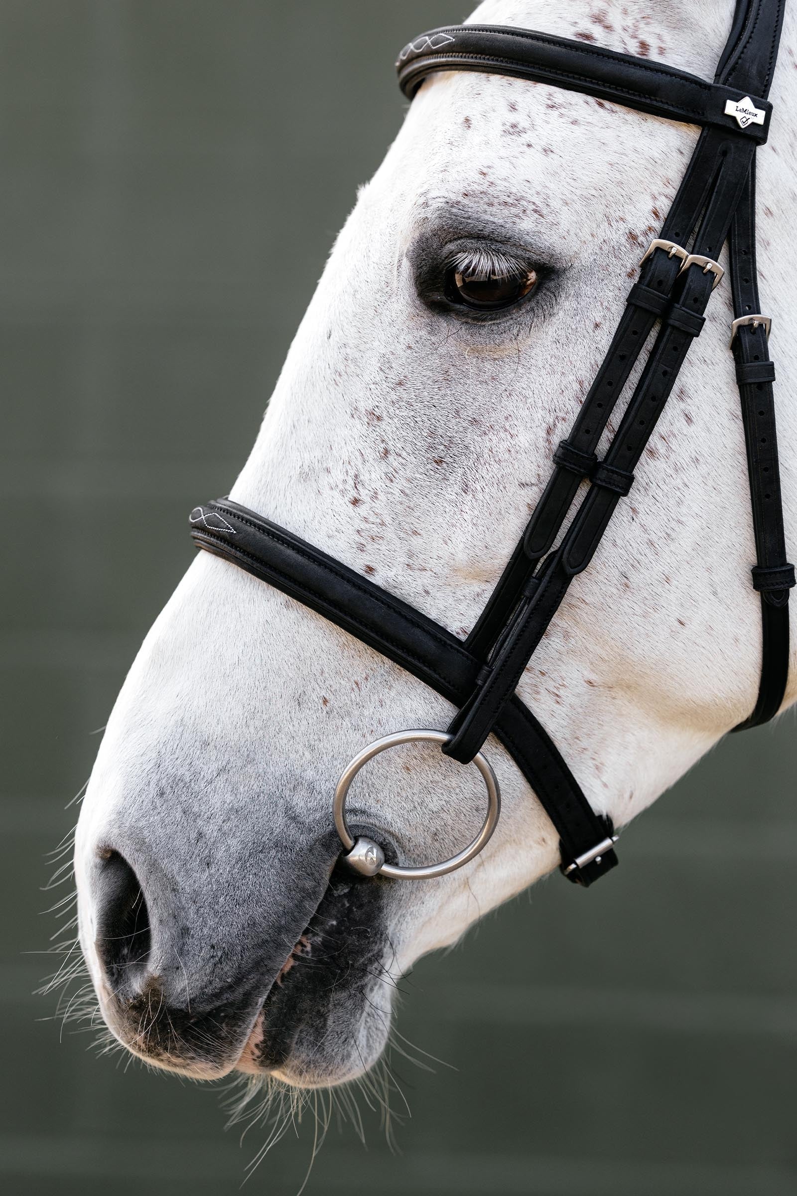 LeMieux Classique Cavesson Bridle Horse Training
