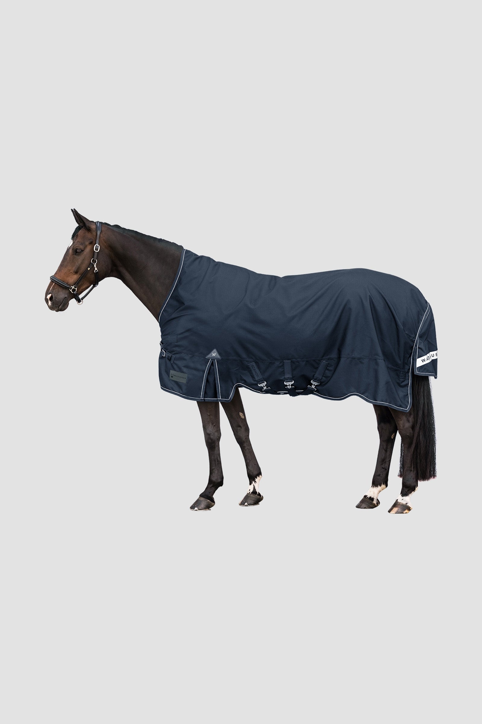 Waldhausen Outdoor Rug Scandic High Neck 100 g Hästtäcken