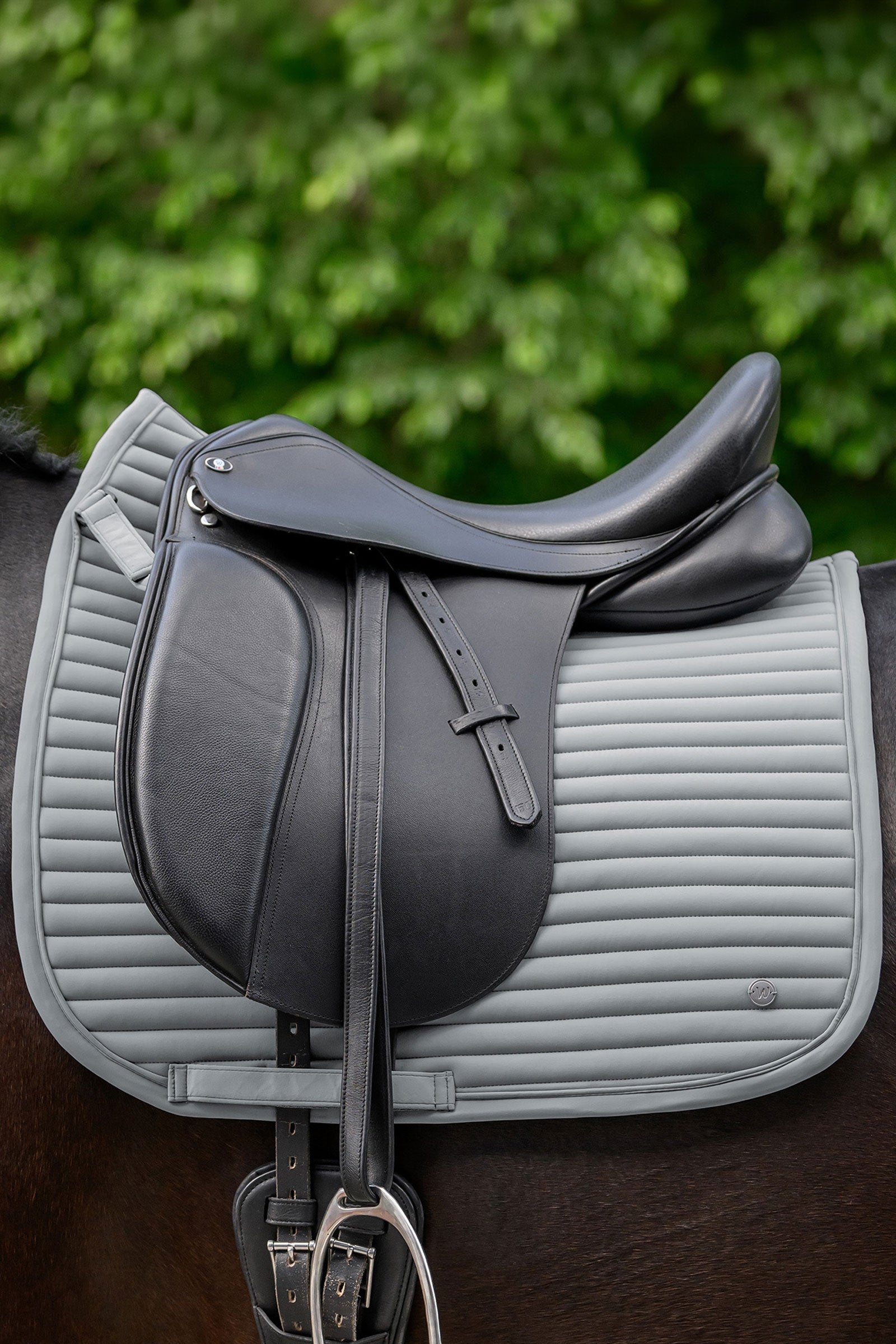 Waldhausen Trinidad Dressage Saddle Pad Saddle Pads