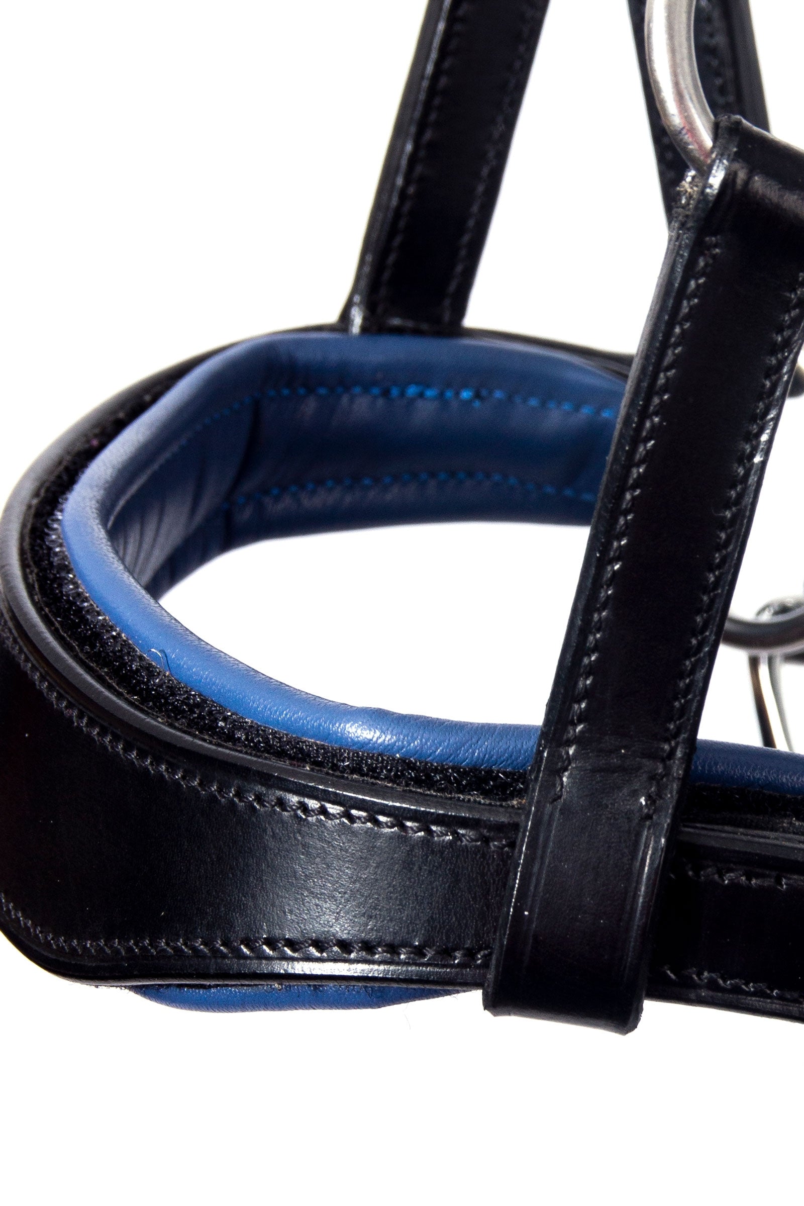 F.R.A. Freedom Riding Articles Aruba Bitless Bridle With Reins (System 3) Bridles & Reins