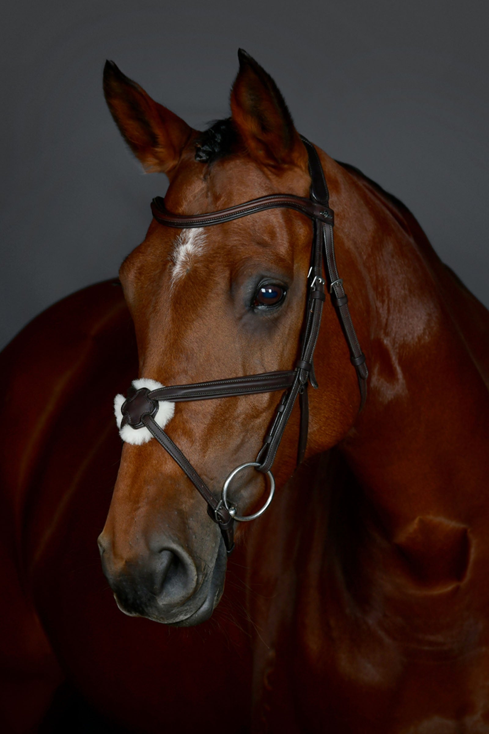 Collegiate Comfitec Opulux Plain Padded Grackle Bridle Bridles & Reins