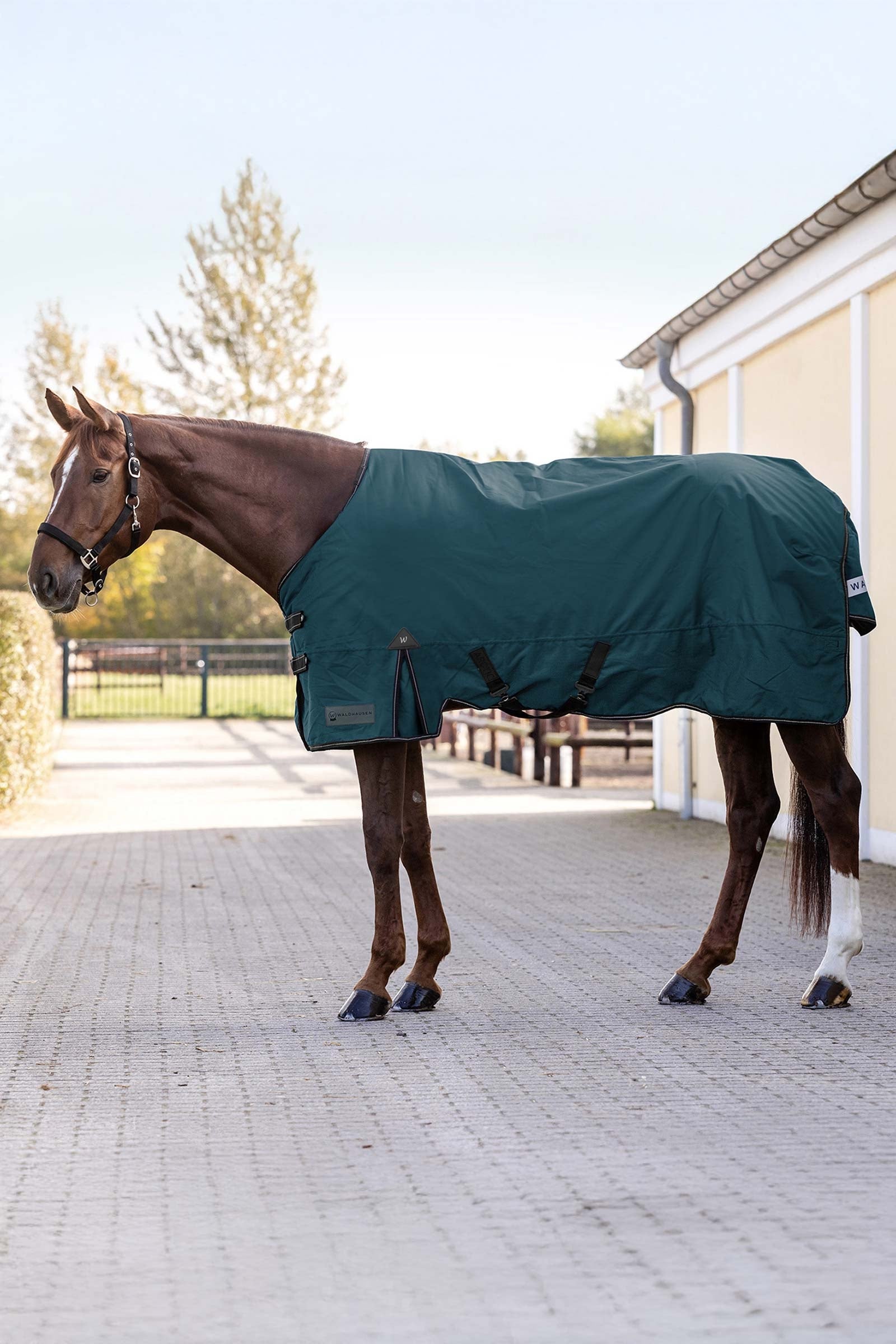 Waldhausen Arctic Turnout Rug, 200 g Horse Rugs
