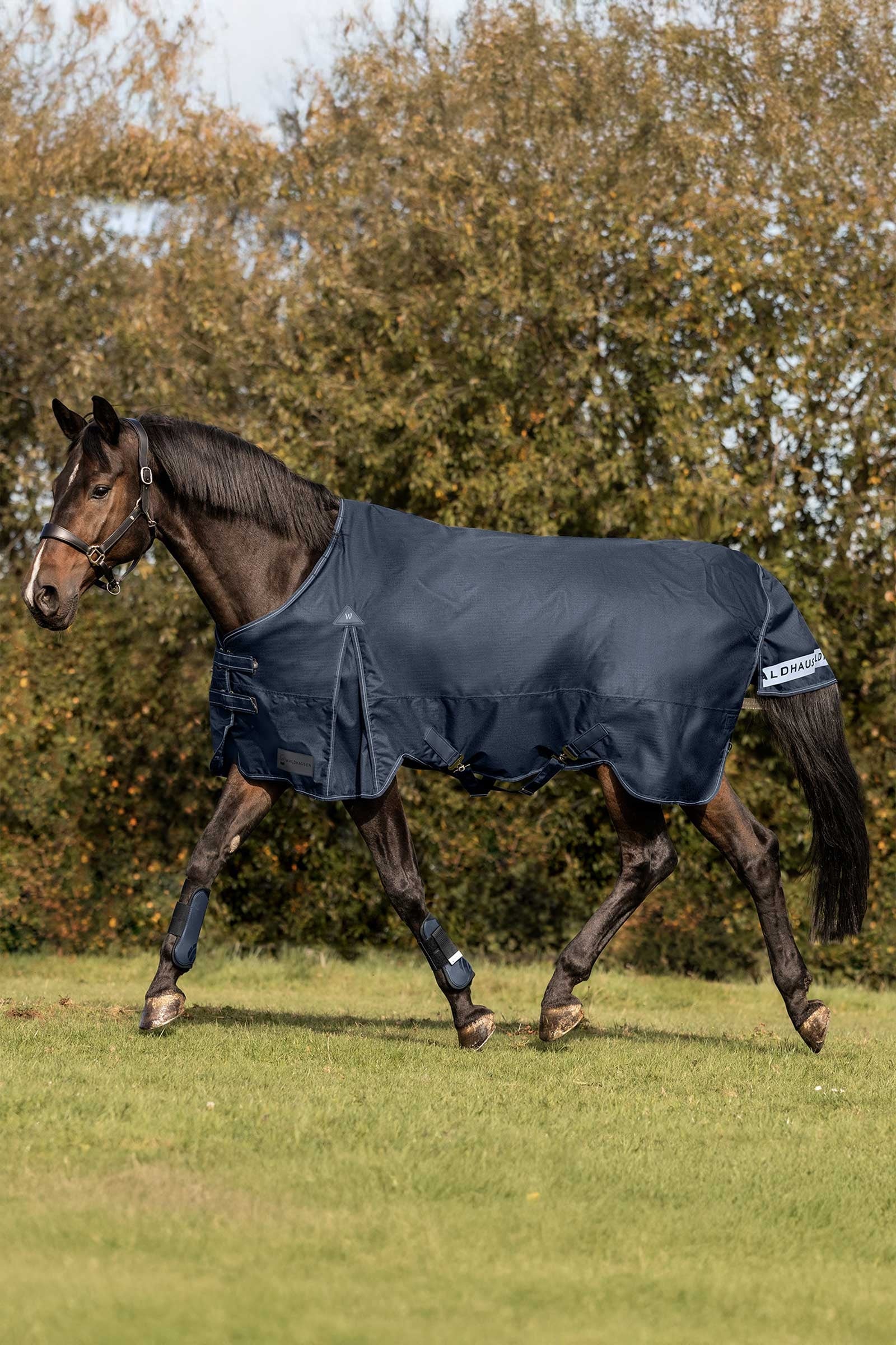 Waldhausen Arctic Turnout Rug, 200 g Horse Rugs