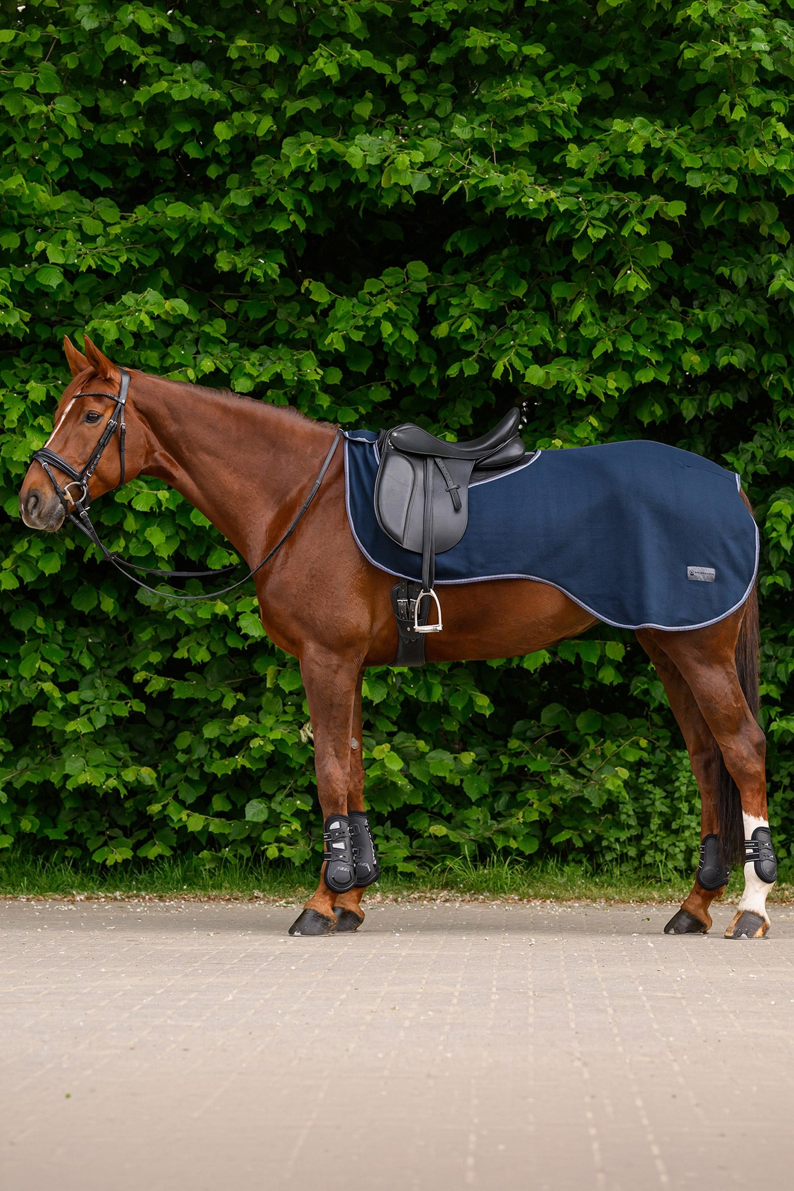 Waldhausen ECONOMIC fleece ridtäcke Hästtäcken