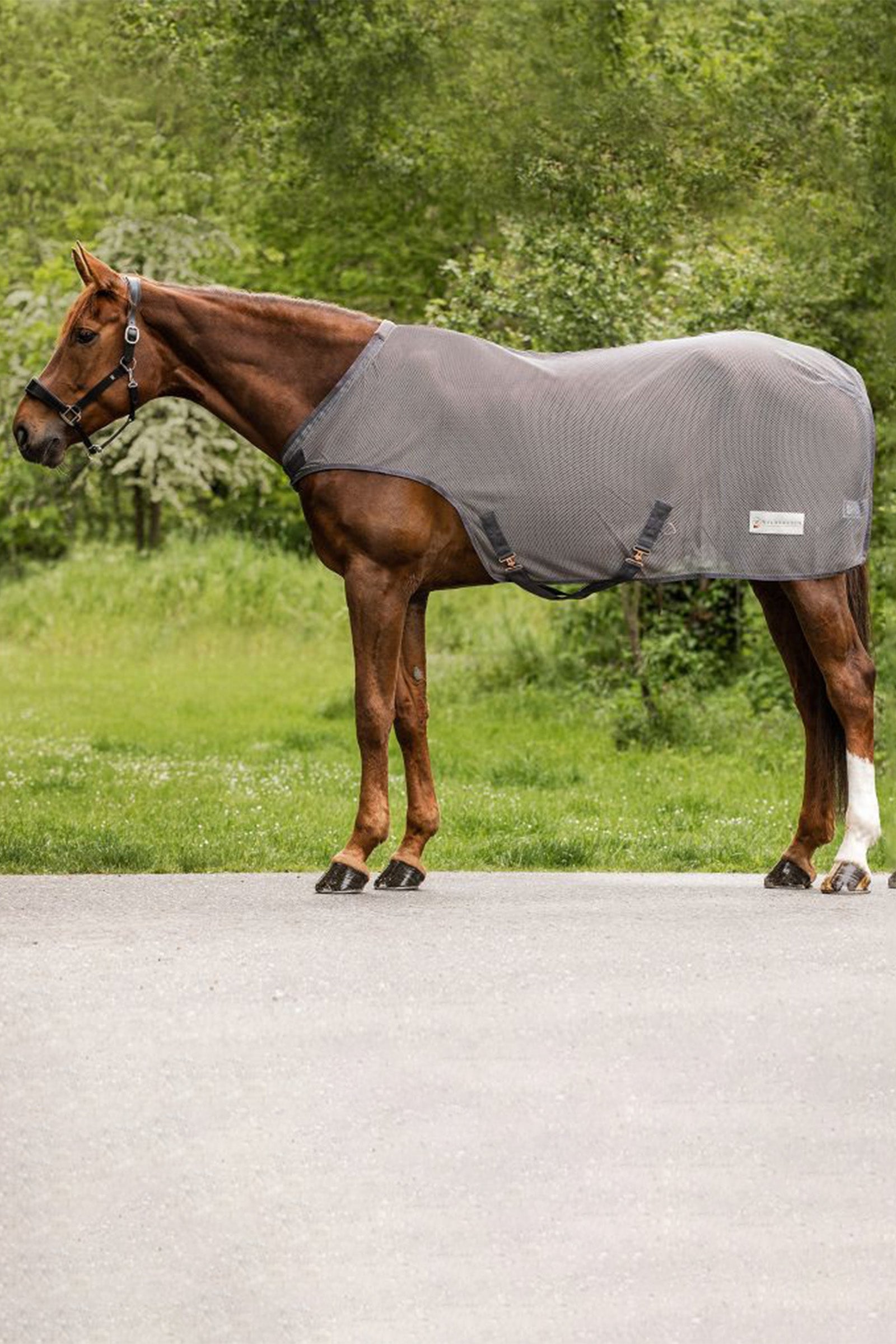 Waldhausen Comfort Fly-Horse Walker Rug Horse Rugs