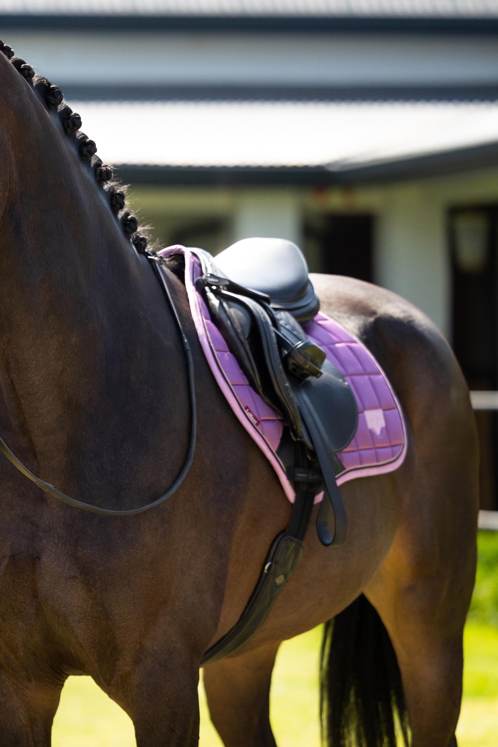 LeMieux Loire Classic Square Close Contact Saddle Pad Saddle Pads