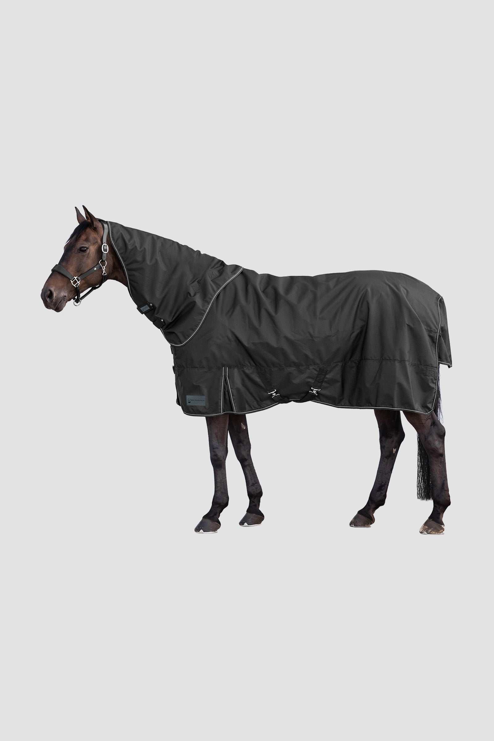 Waldhausen 600D Outdoor Neck Rug, 200 g Horse Rugs