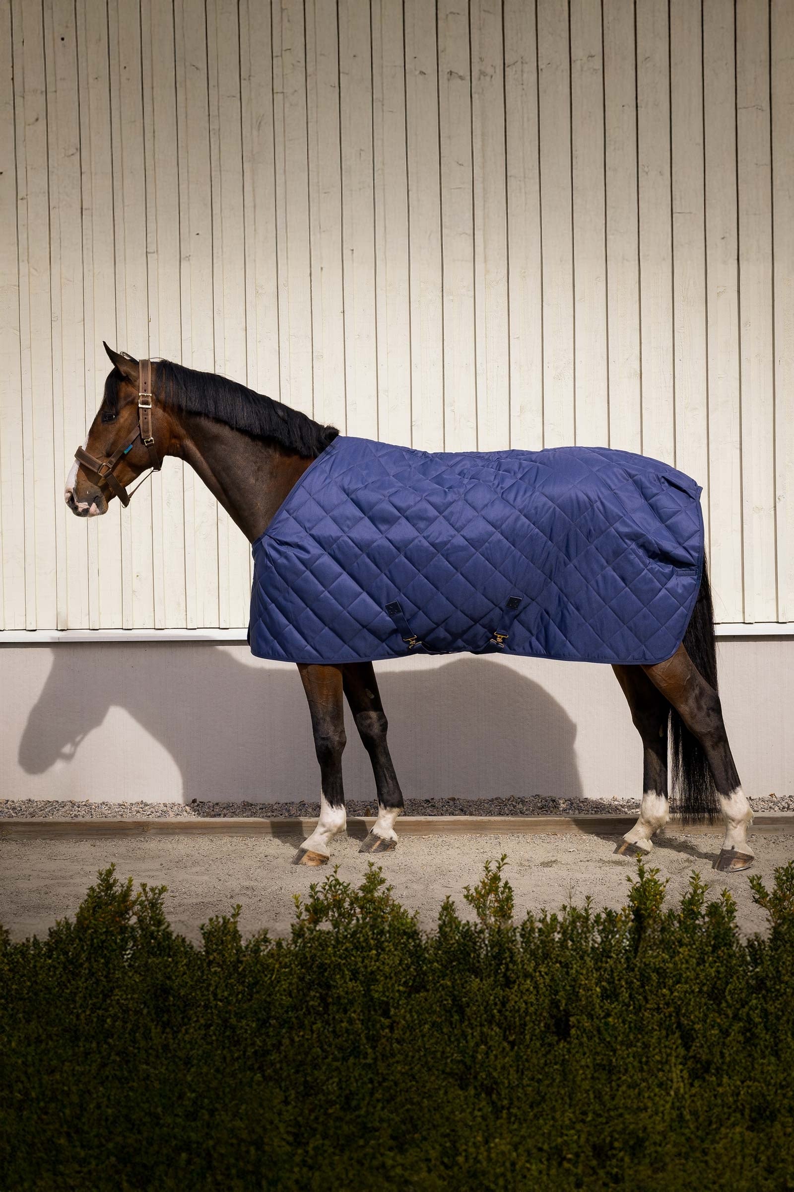 Bucas Cosy Stable Rug Hästtäcken