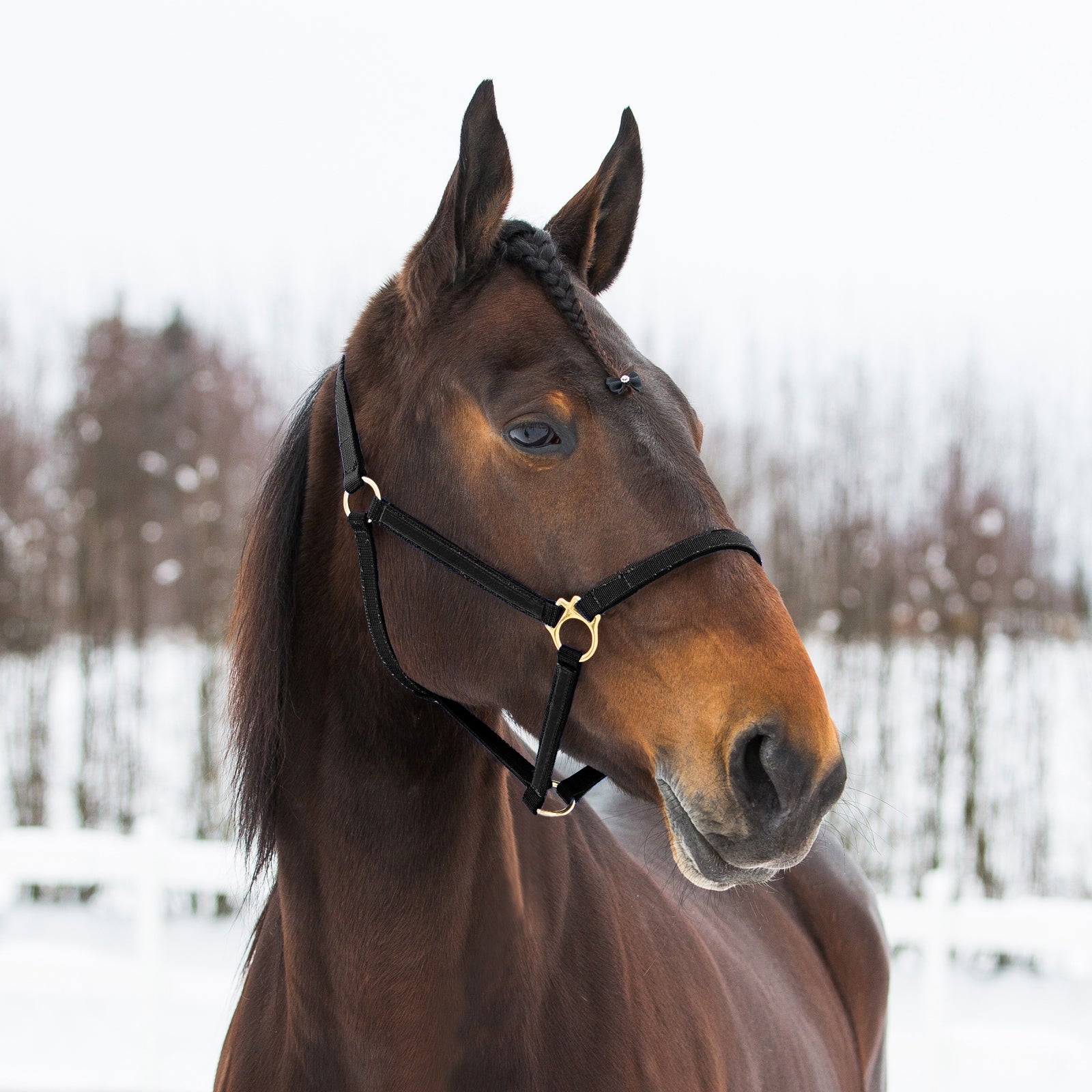 Finntack Pro Synthetic Yankee Nylon Halter Halters & Leads