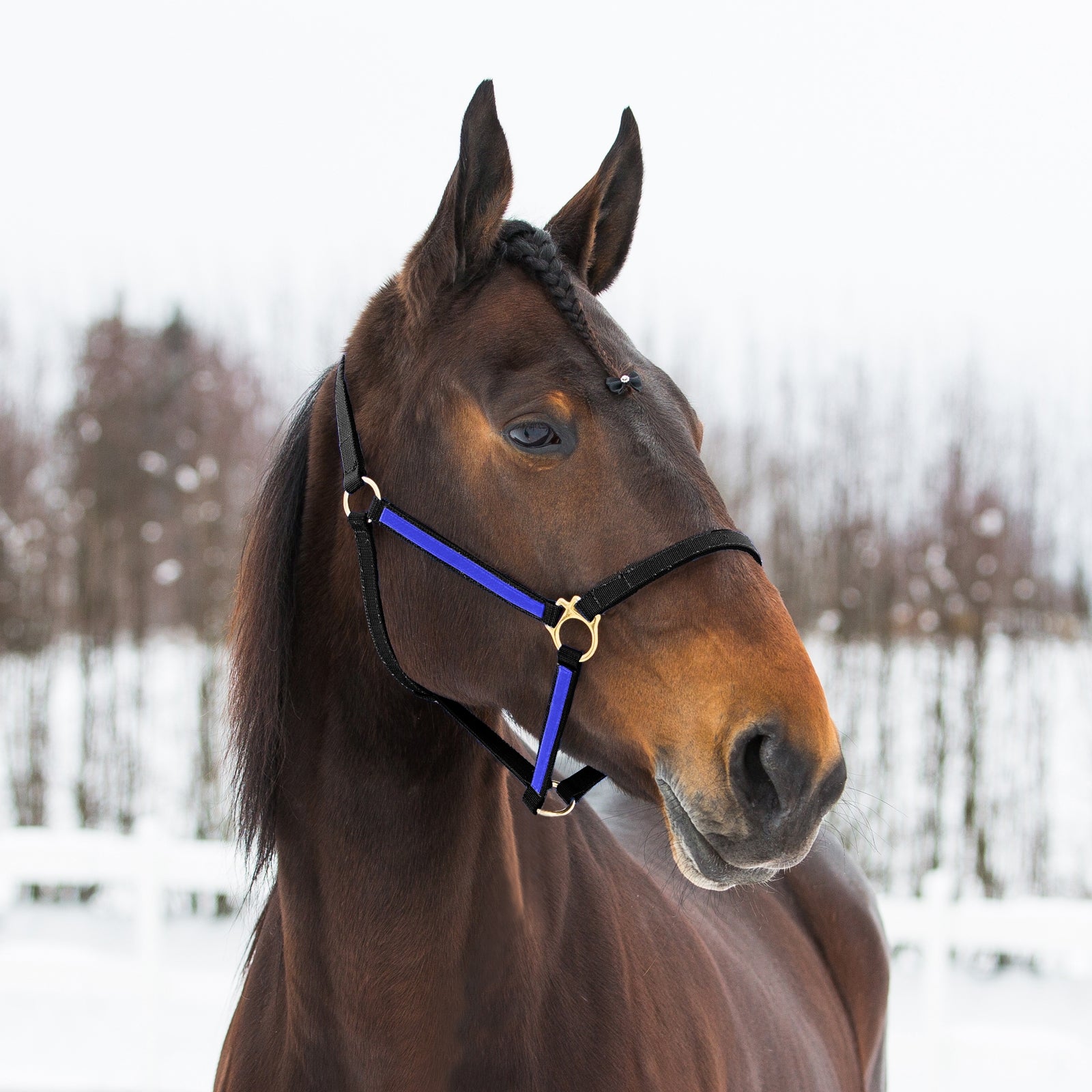 Finntack Pro Synthetic Yankee Nylon Halter Halters & Leads