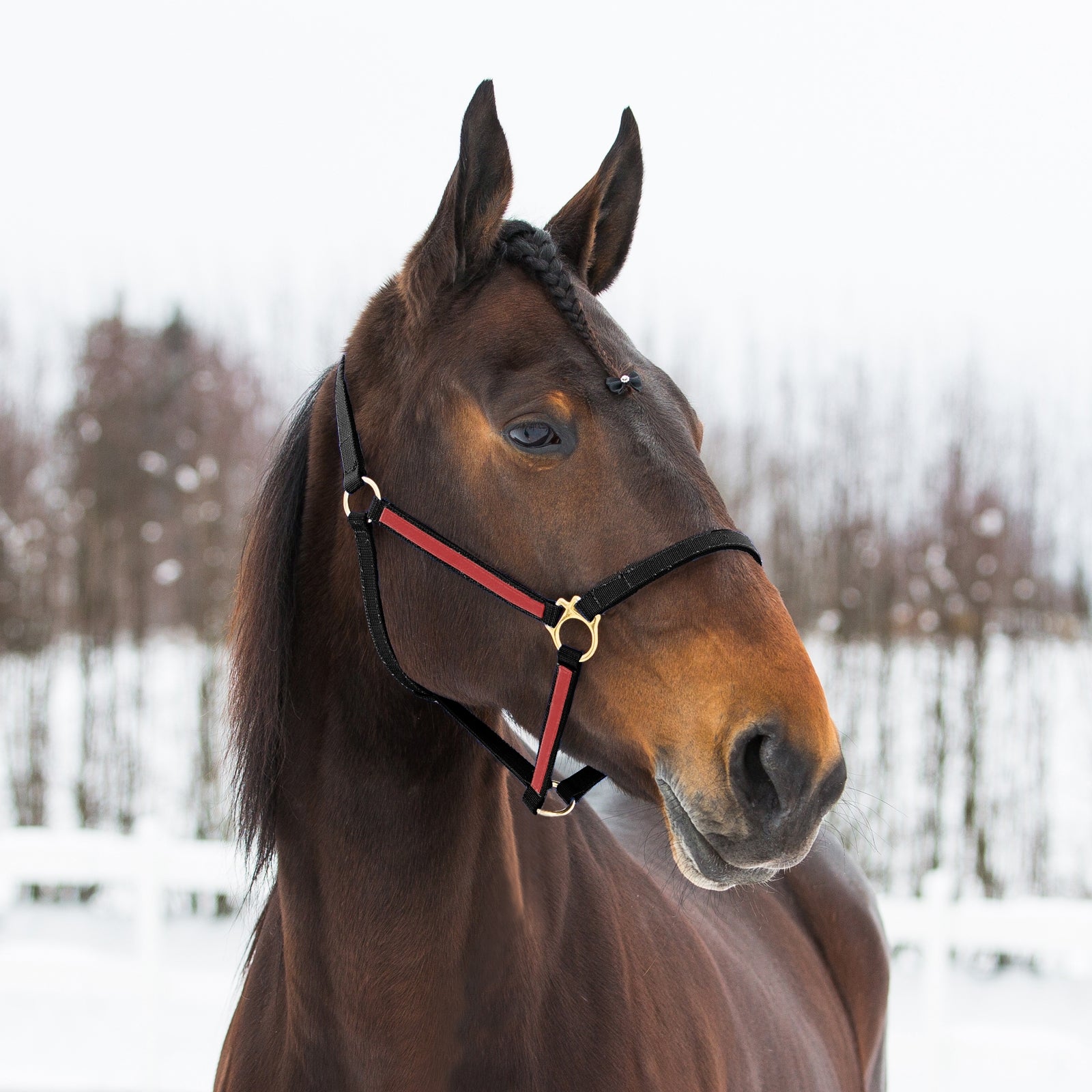 Finntack Pro Synthetic Yankee Nylon Halter Halters & Leads