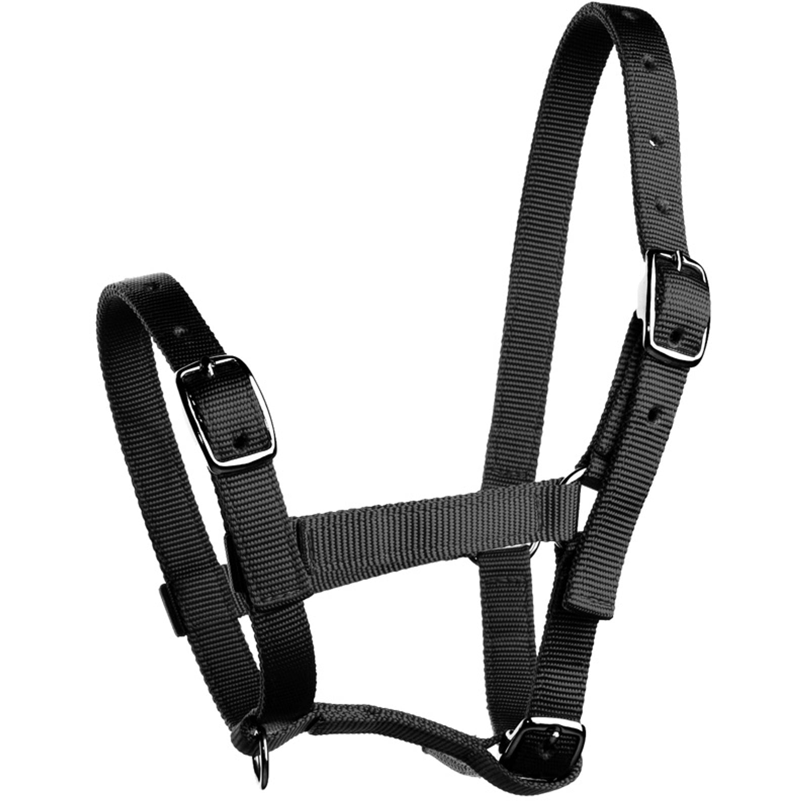 Horze Foal Halter Halters & Leads