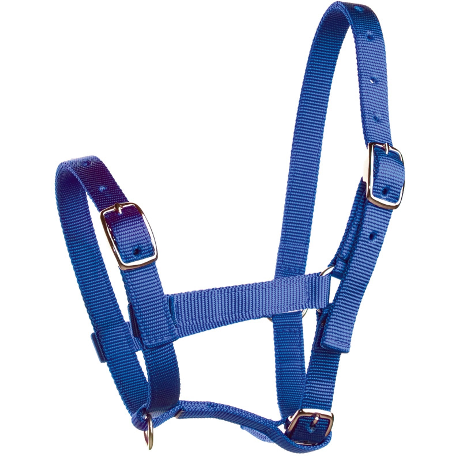 Horze Foal Halter Halters & Leads
